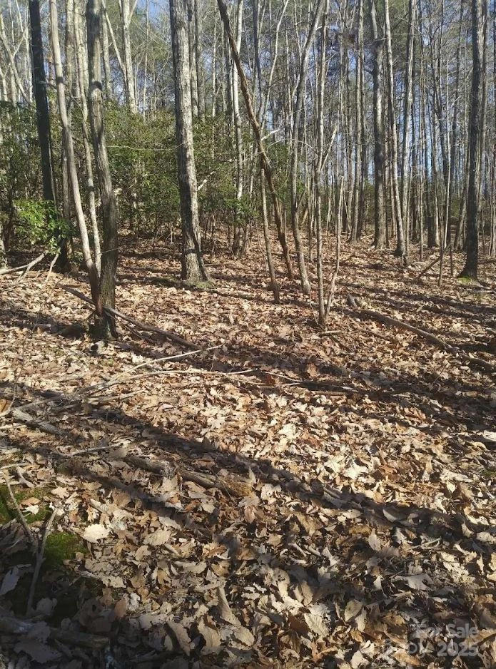 91 Old Forge Drive - Photo 12
