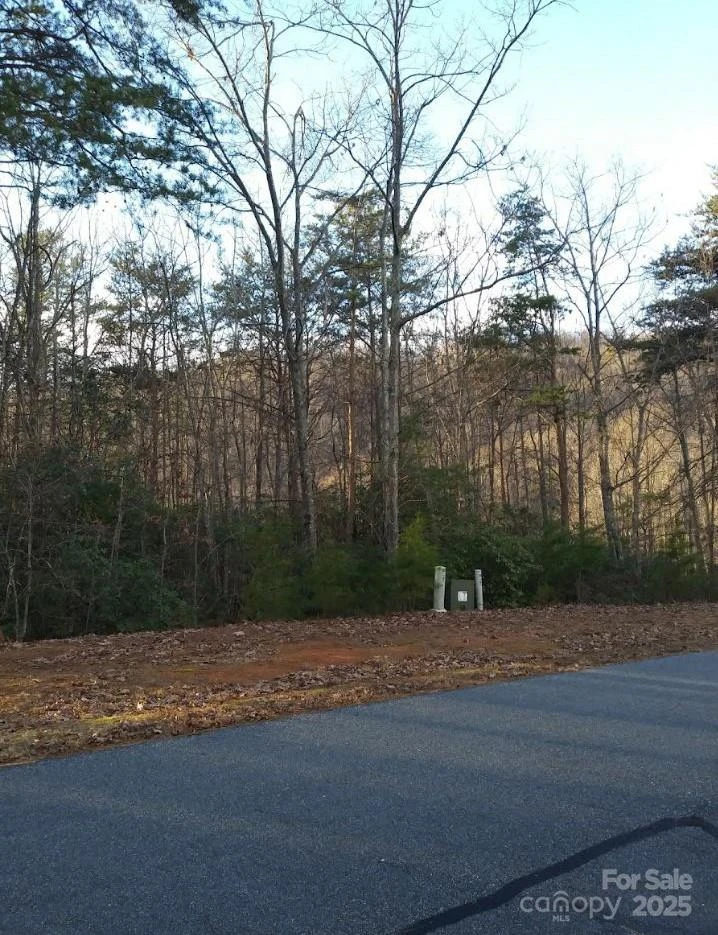 91 Old Forge Drive - Photo 14