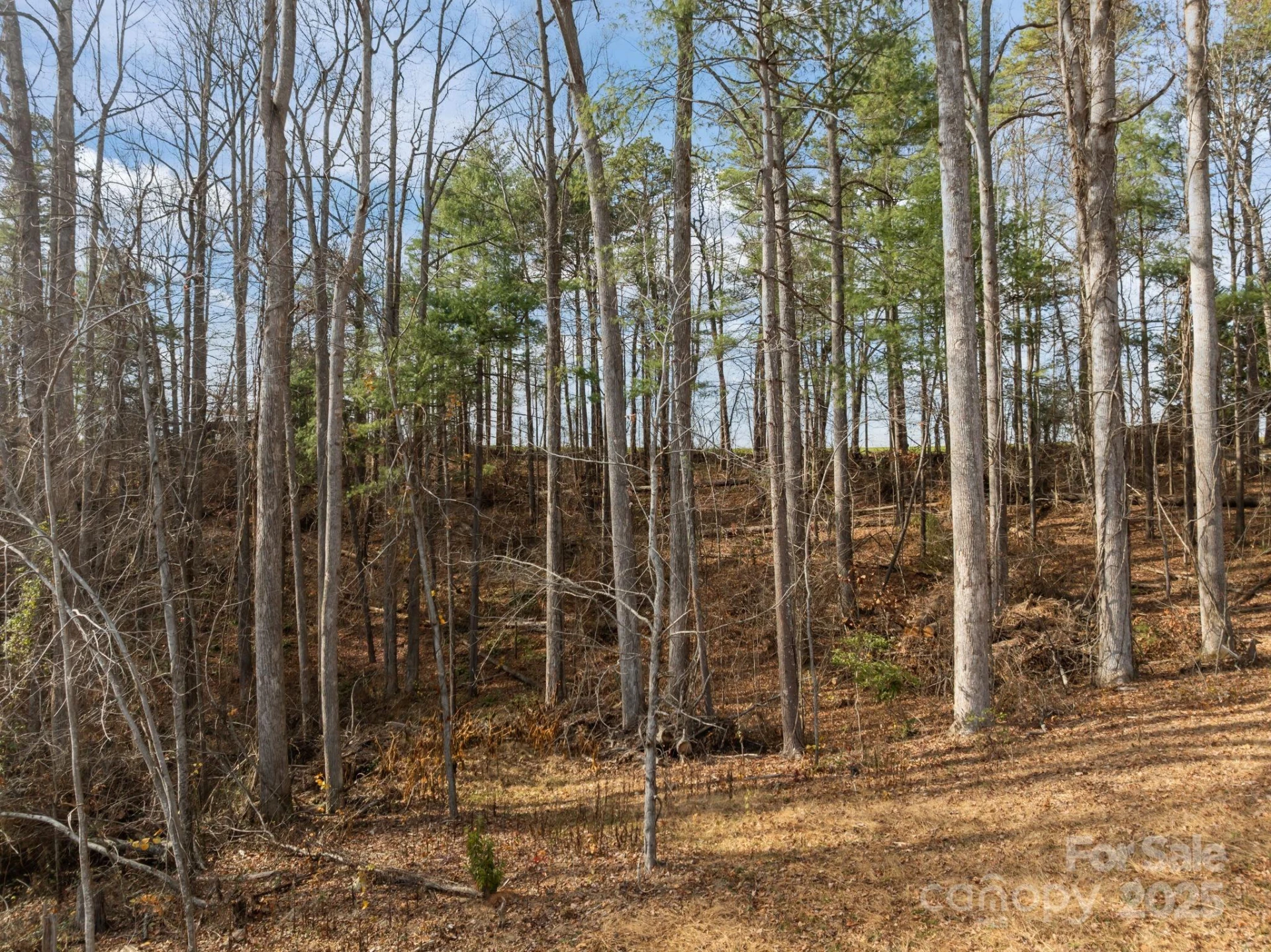 99999 Twin Lakes Drive - Photo 15