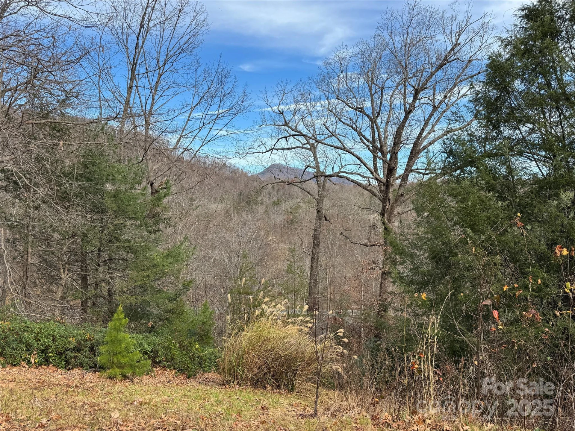 0 Deer Trail #16 - Photo 3