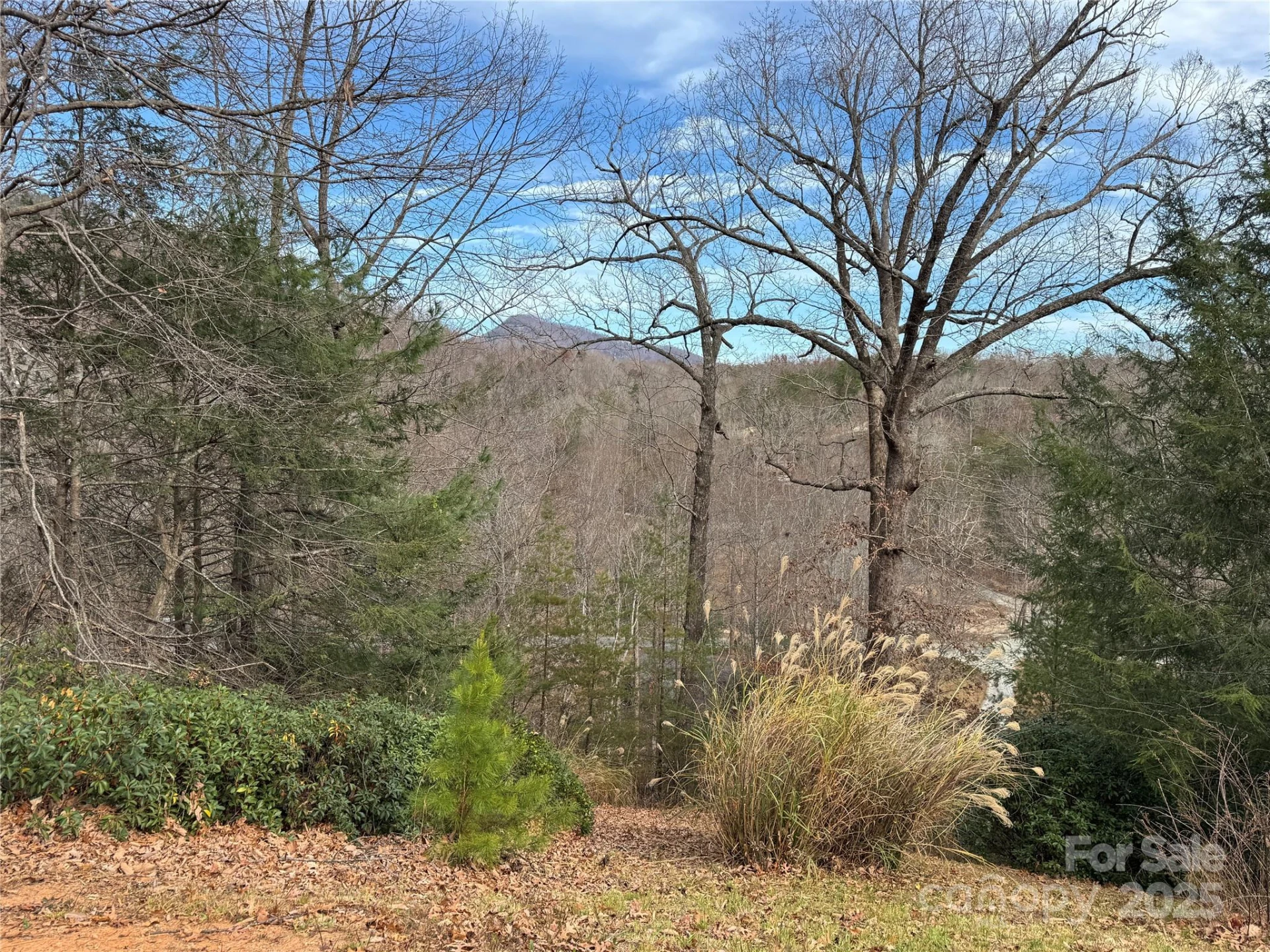 0 Deer Trail #16 - Photo 4