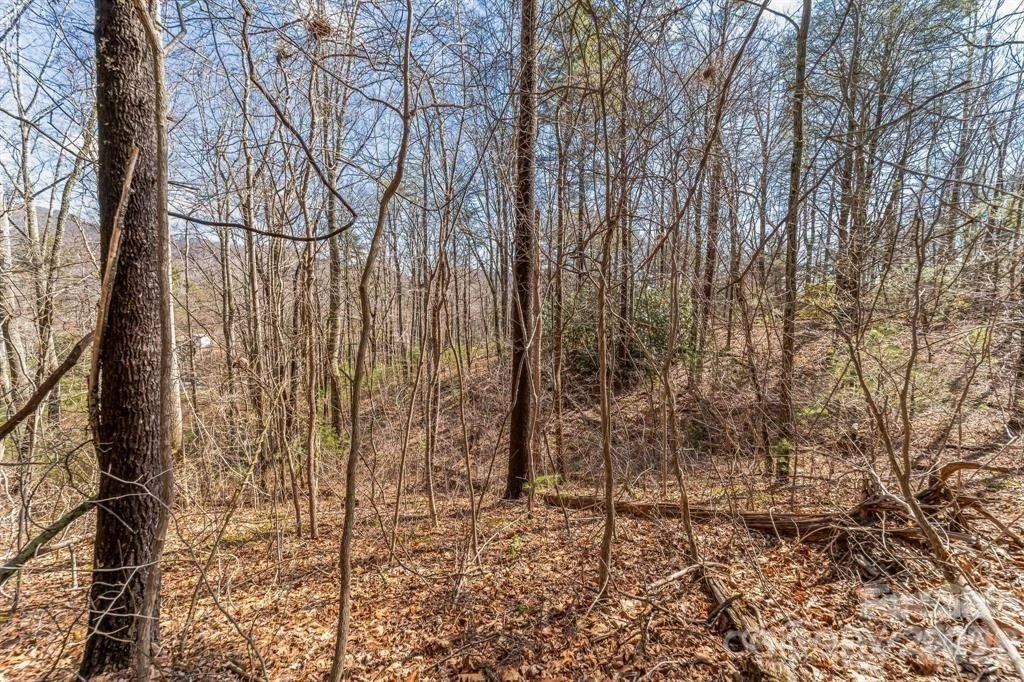 99999 Parker Road - Photo 4