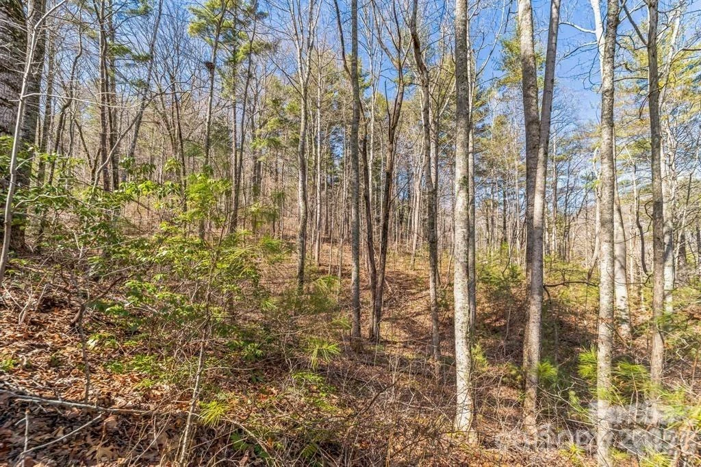 99999 Parker Road - Photo 5