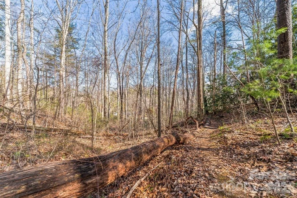 99999 Parker Road - Photo 6
