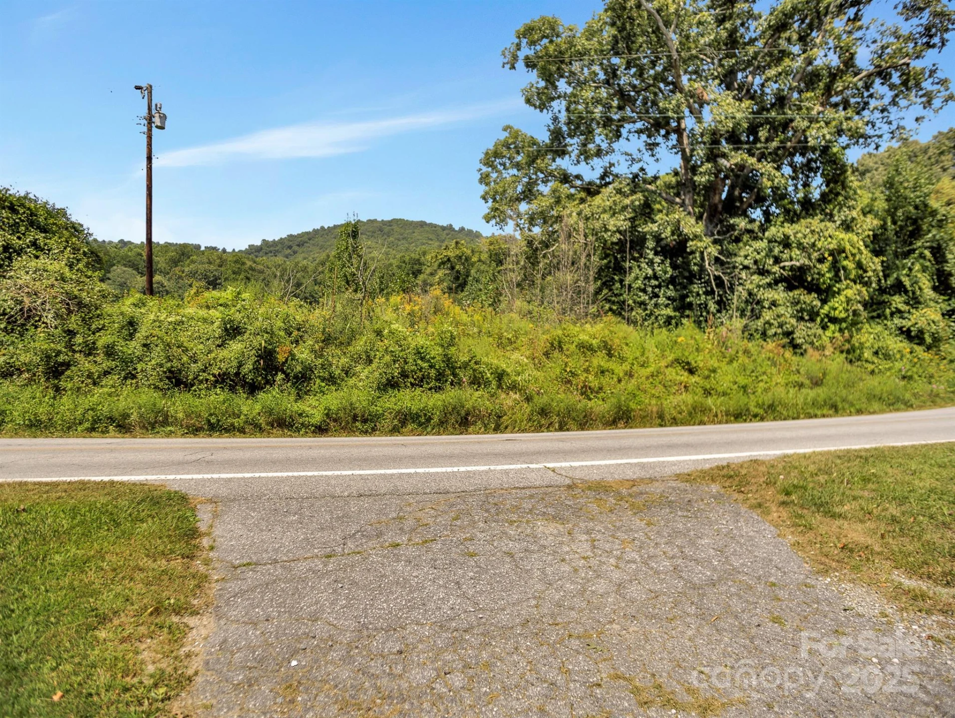9999 Hoopers Creek Road - Photo 5