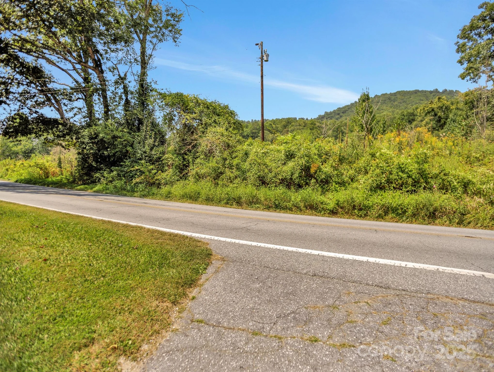 9999 Hoopers Creek Road - Photo 6