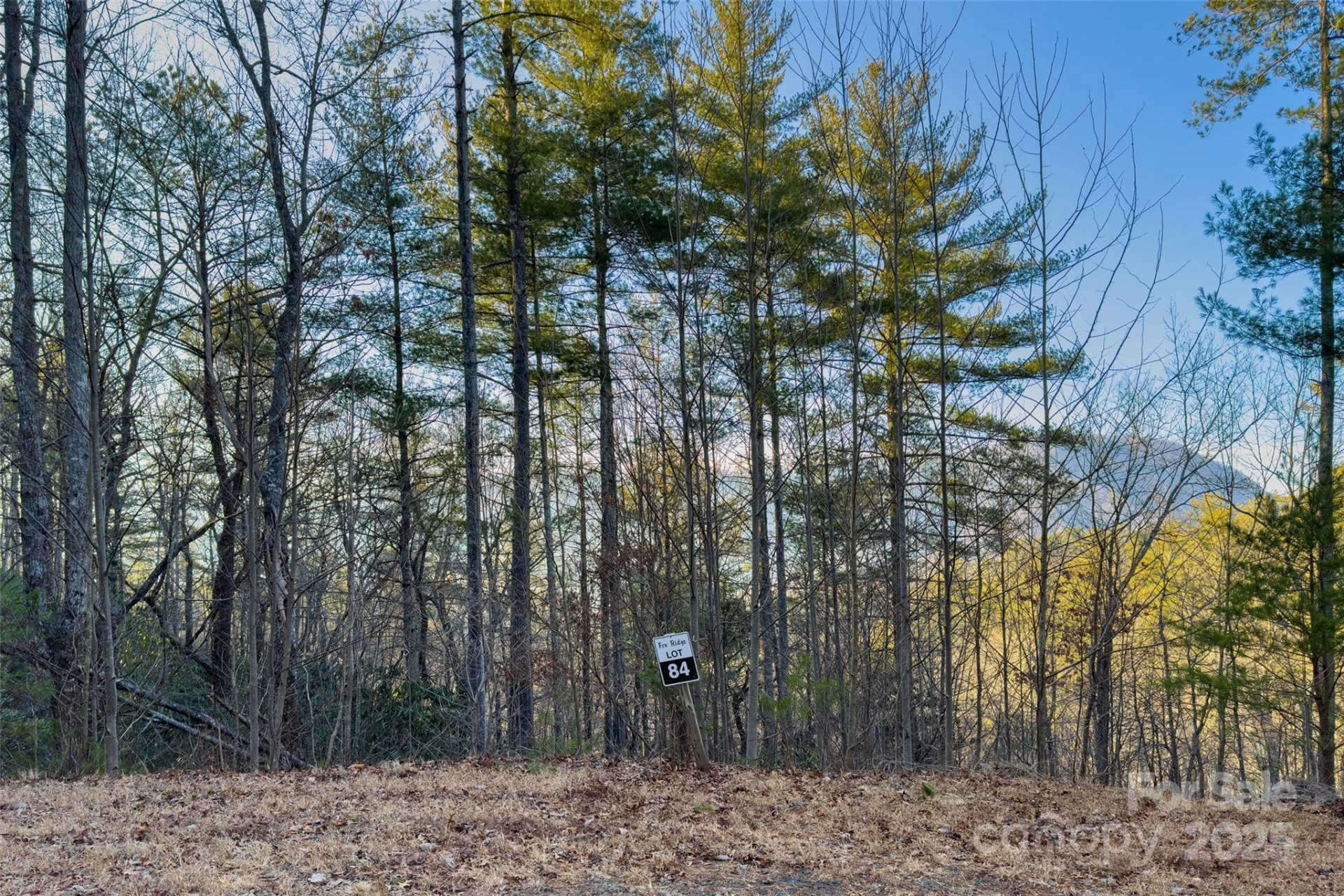 LOT #84 Little Fox Run - Photo 2