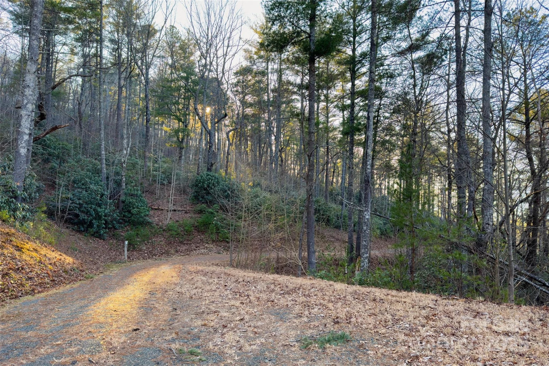LOT #84 Little Fox Run - Photo 12