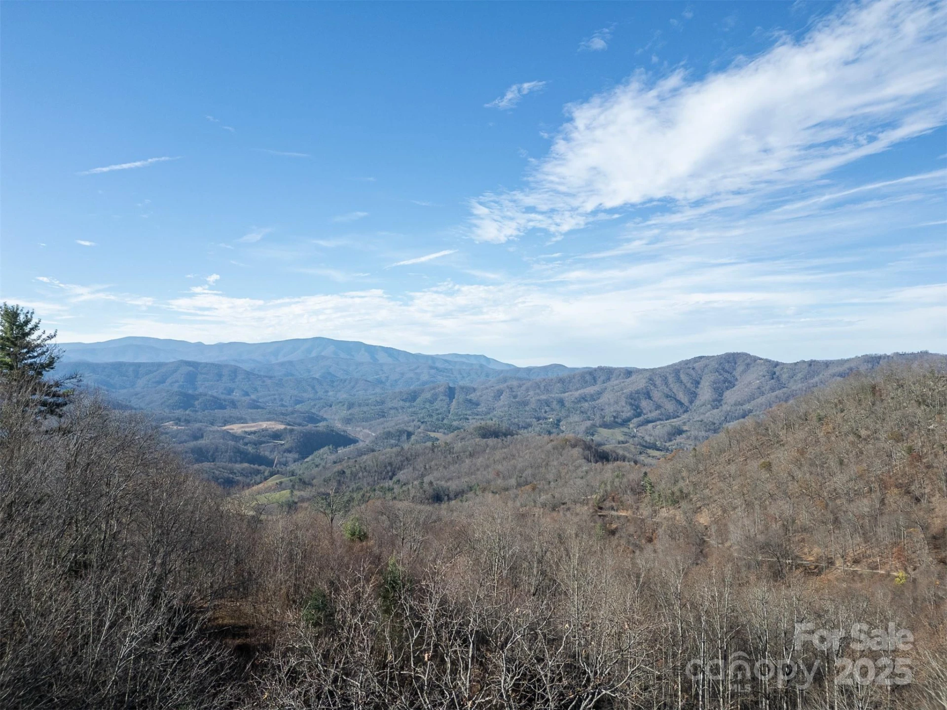 0000 Hyacinth Drive - Photo 4