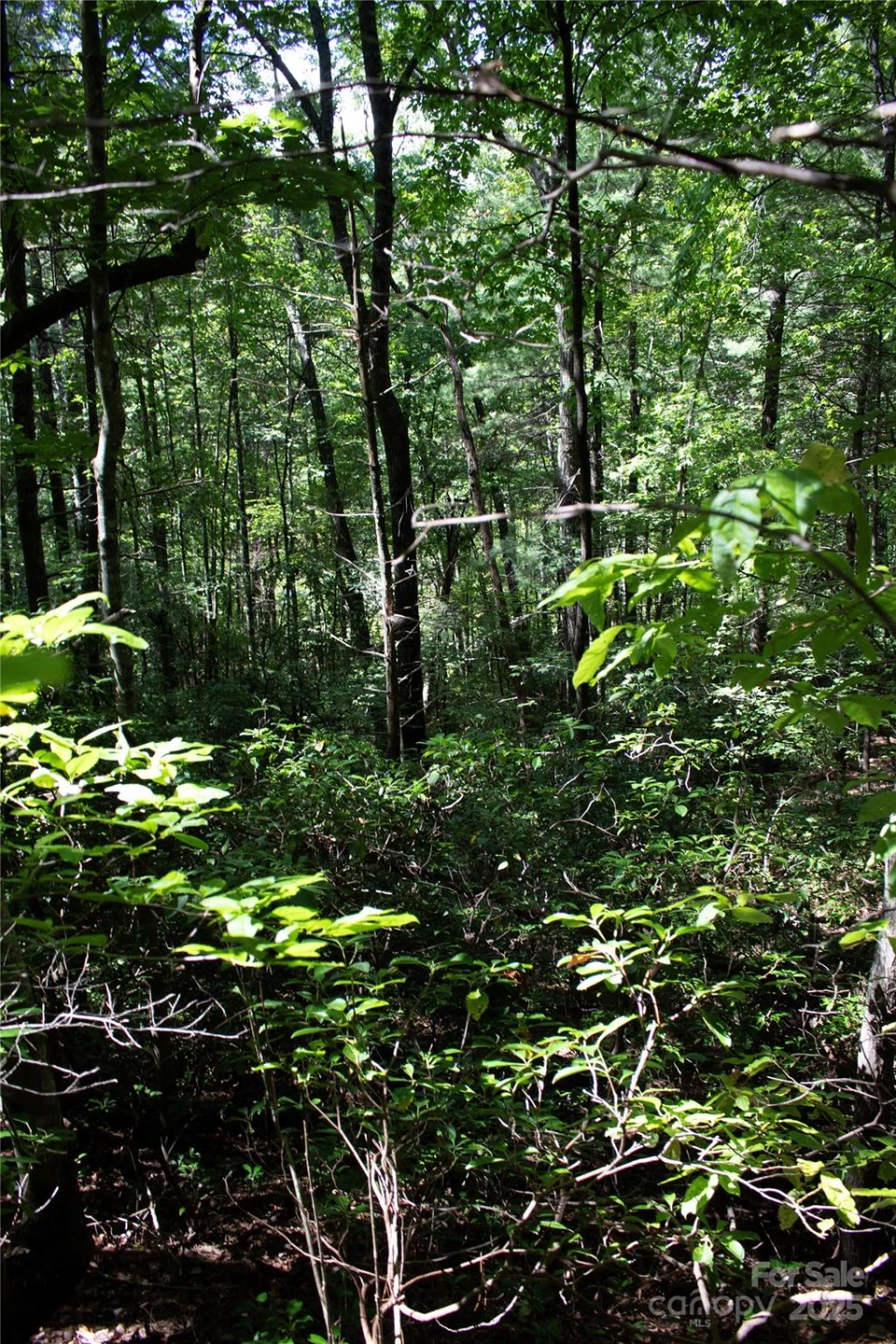 TBD Frozen Creek None #34 - Photo 3
