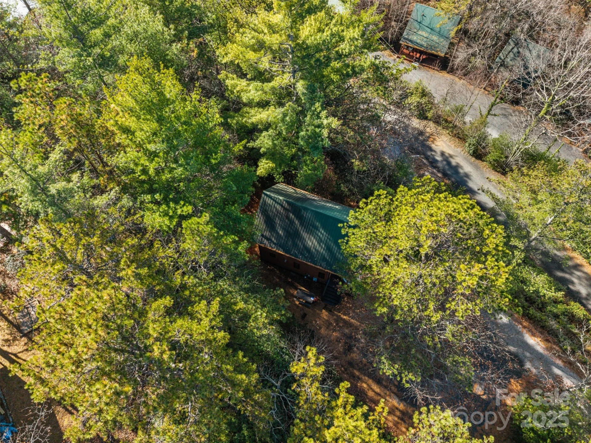 68 Bear Den Mountain View Drive - Photo 25