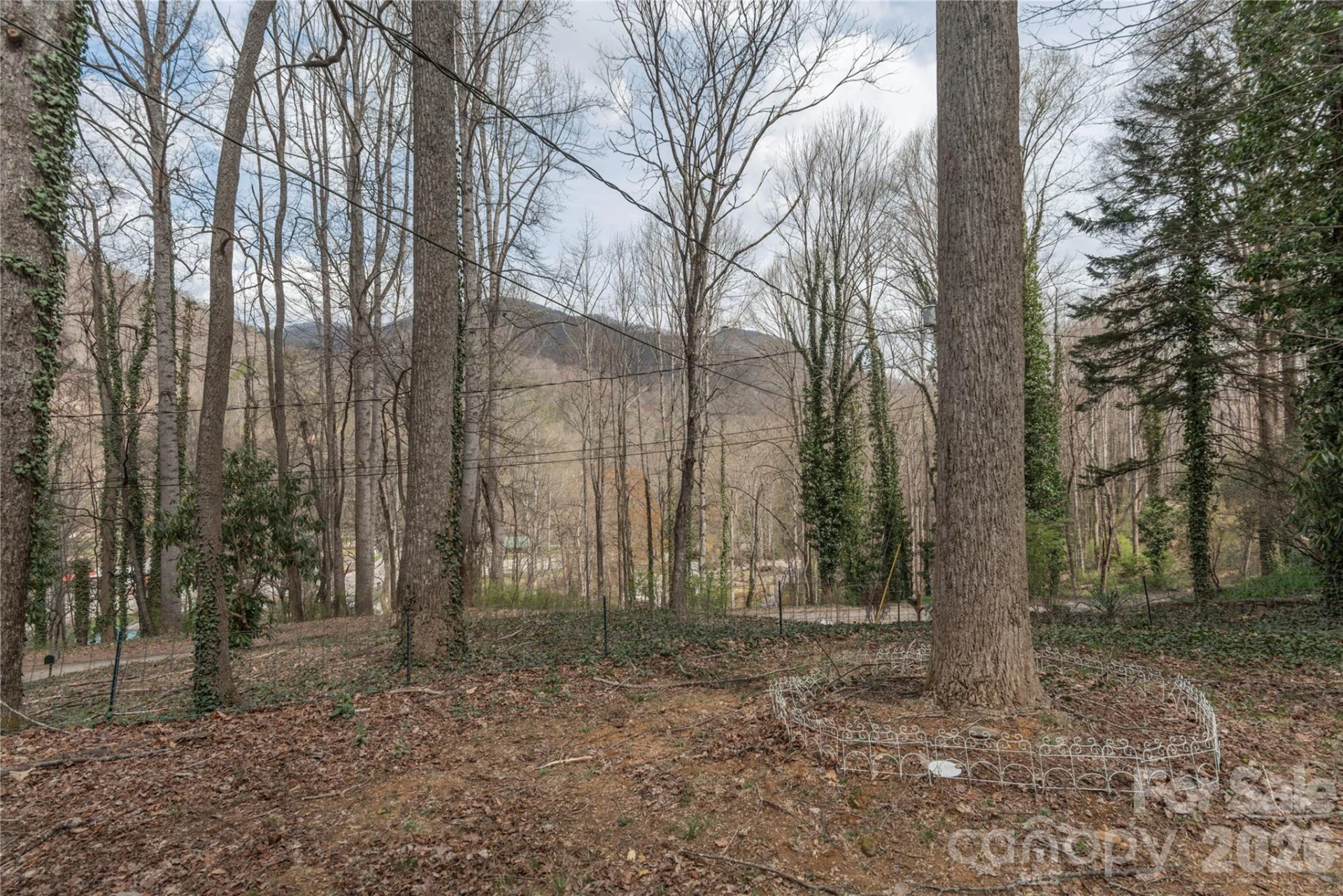 147 Azalea Drive - Photo 24