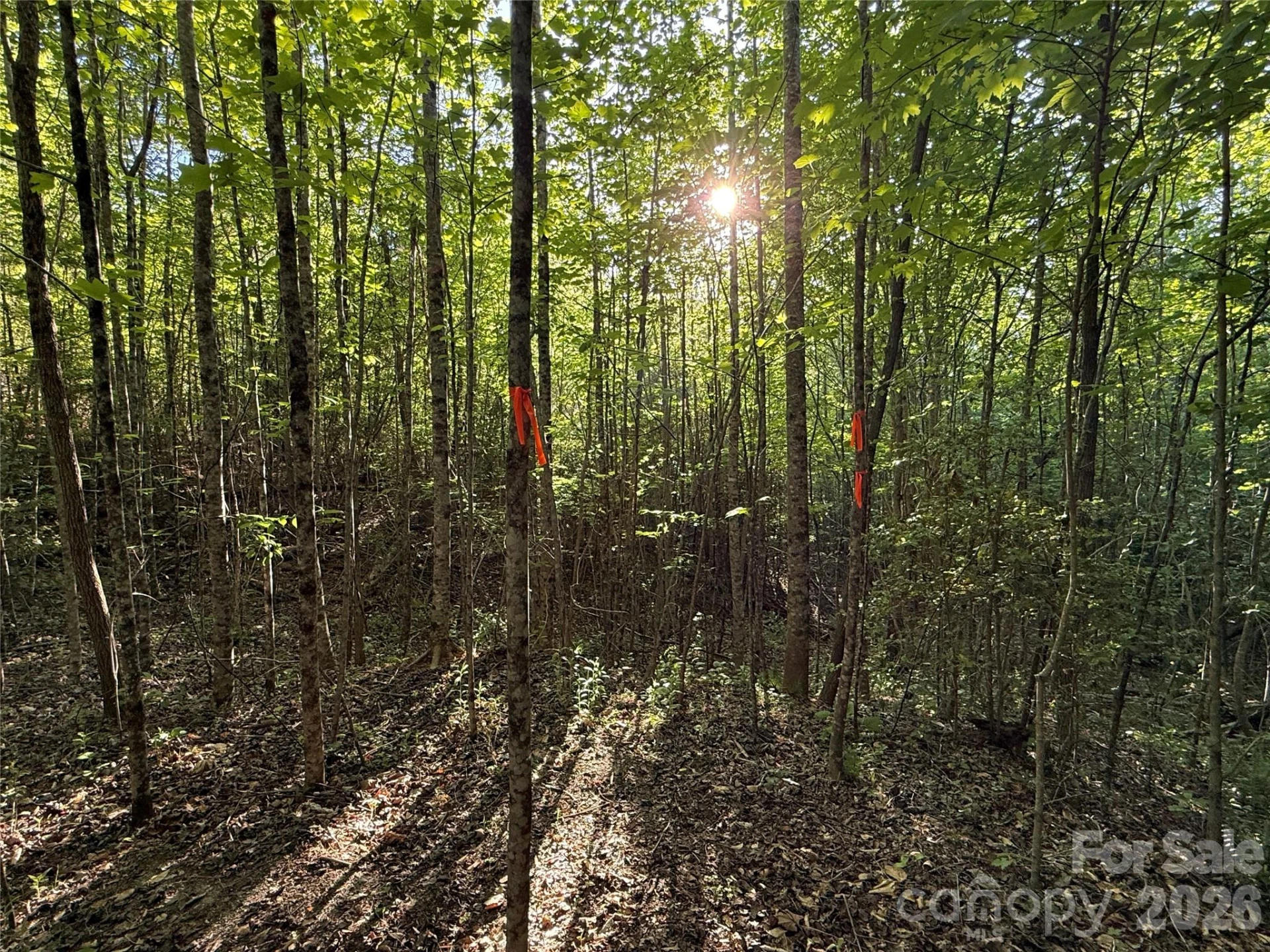 Lot # 6 West Legacy Drive #6 - Photo 26