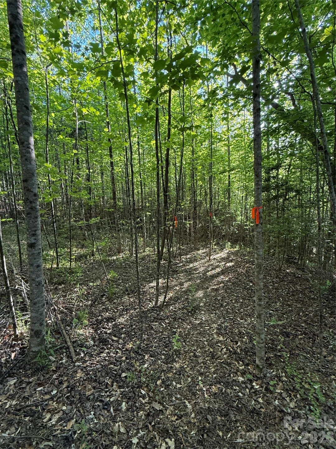 Lot # 6 West Legacy Drive #6 - Photo 27