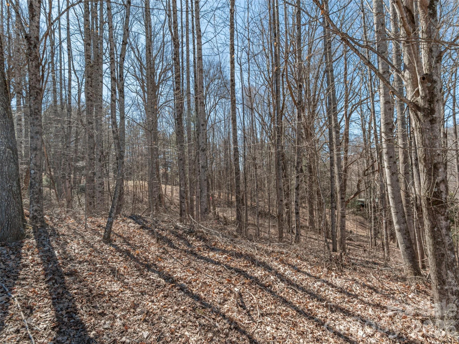 00 Sams Trail #27 - Photo 4