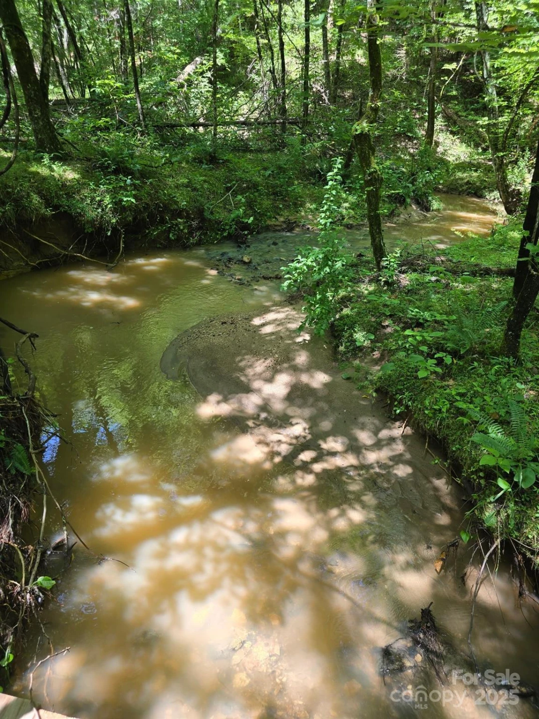 0 Frog Creek Road - Photo 5