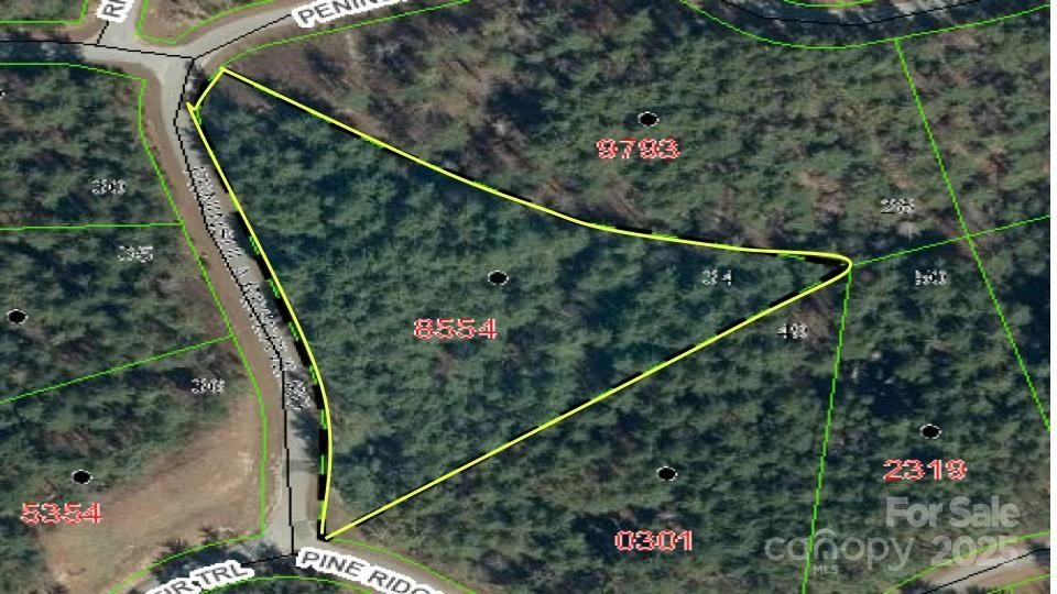 597 Peninsula Reserve Road #34 - Photo 11