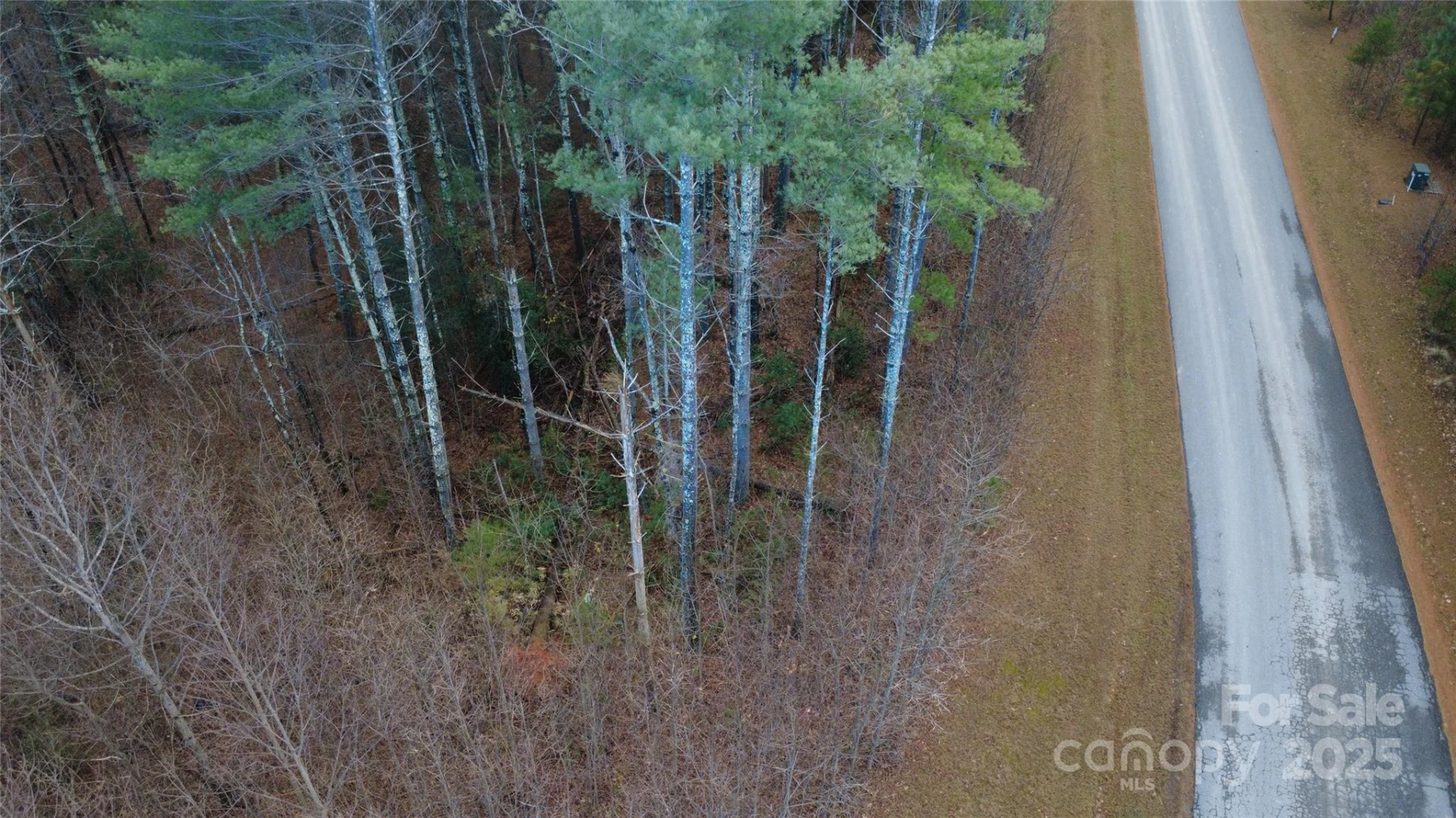597 Peninsula Reserve Road #34 - Photo 9