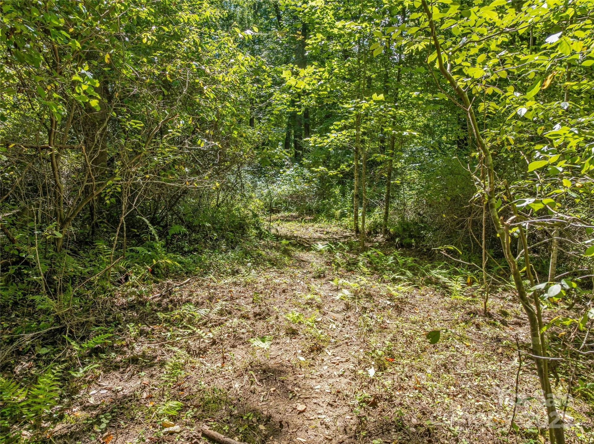 644 Walnut Valley Parkway - Photo 28
