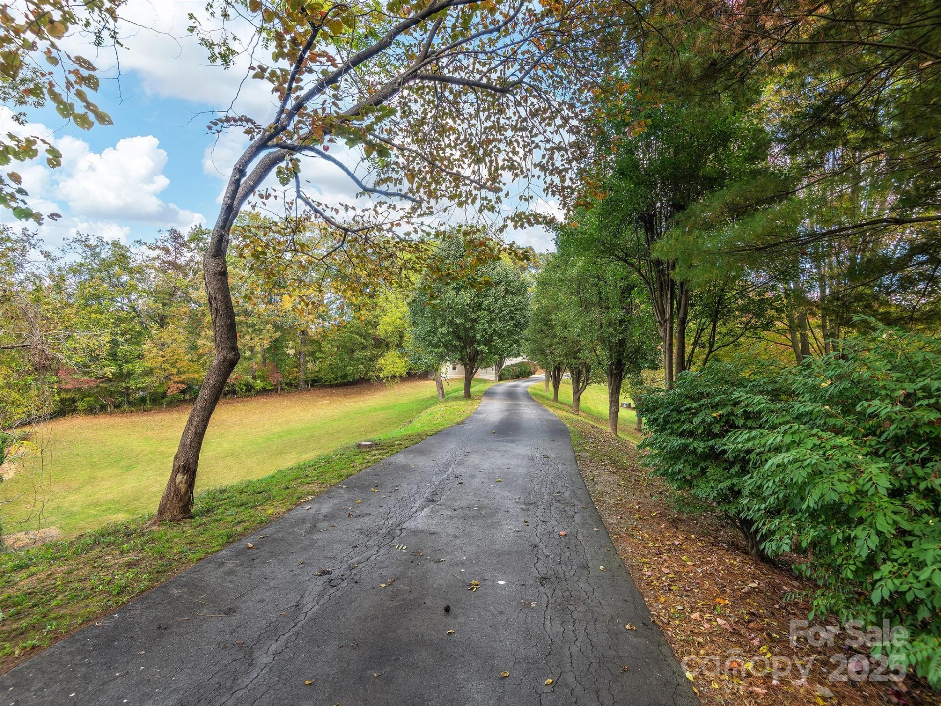 355 Johnson Drive - Photo 41