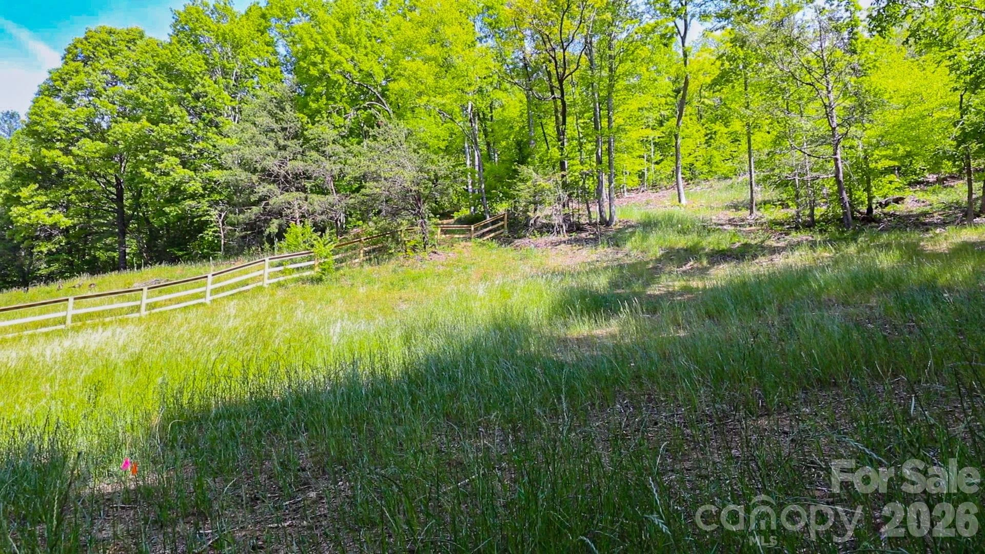 000 Cook Cove Road #2 - Photo 28