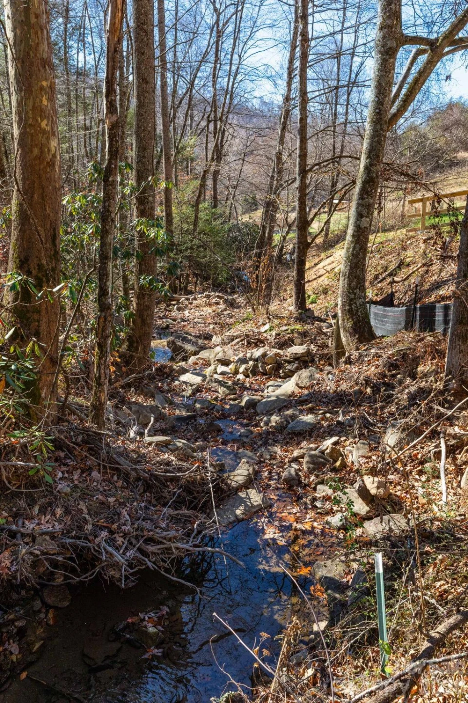 000 Cook Cove Road #2 - Photo 32