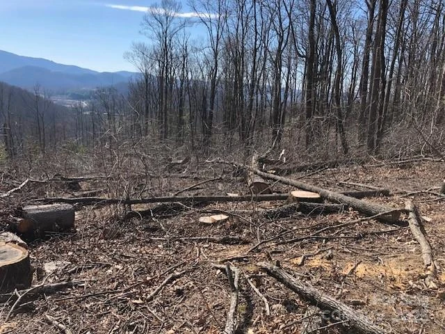 000 Butler Ridge Trail #26 - Photo 4