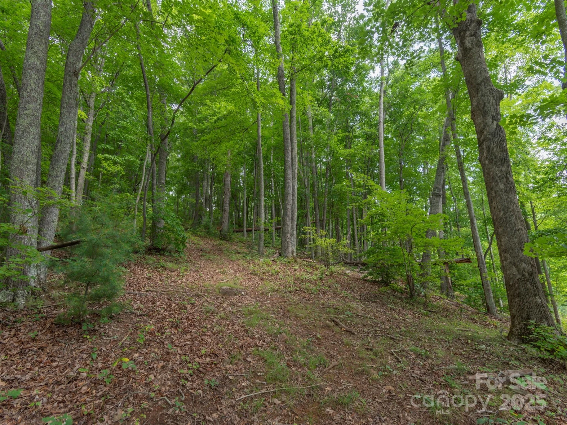 00 Bark Trail - Photo 15