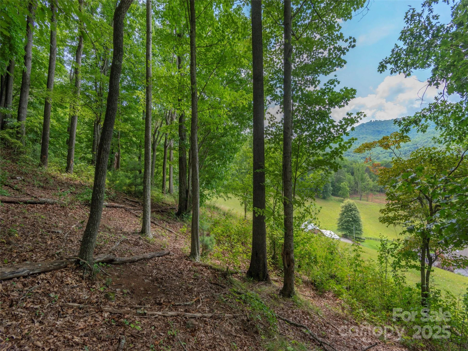 00 Bark Trail - Photo 16