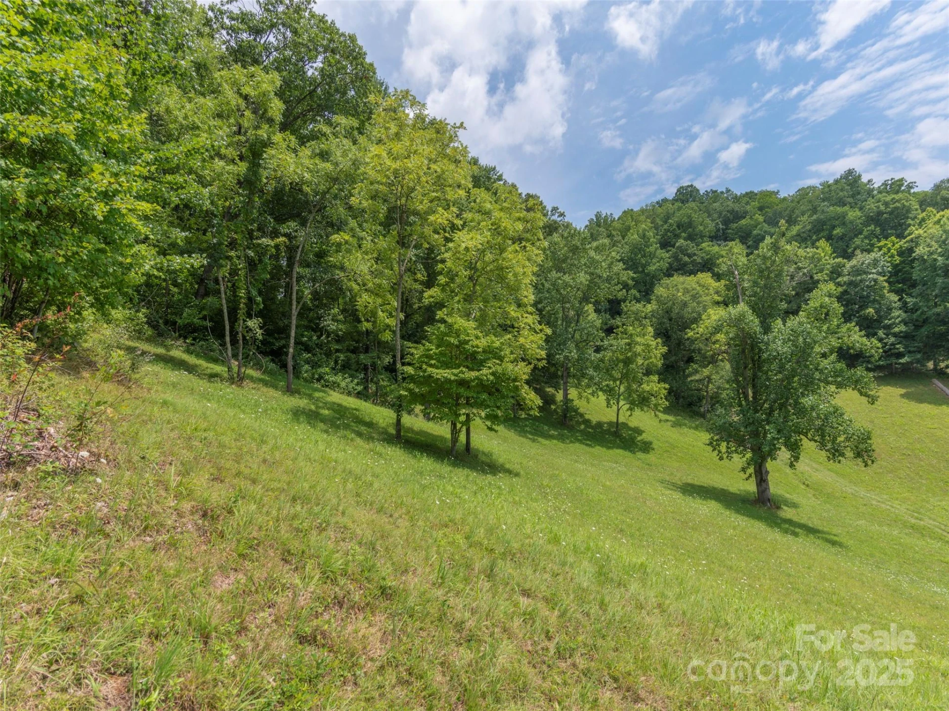 00 Bark Trail - Photo 20