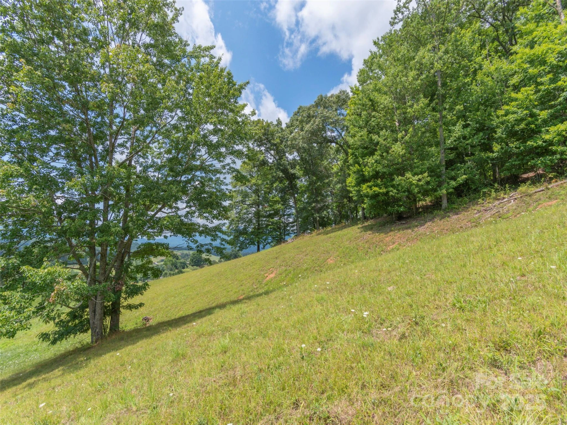 00 Bark Trail - Photo 22
