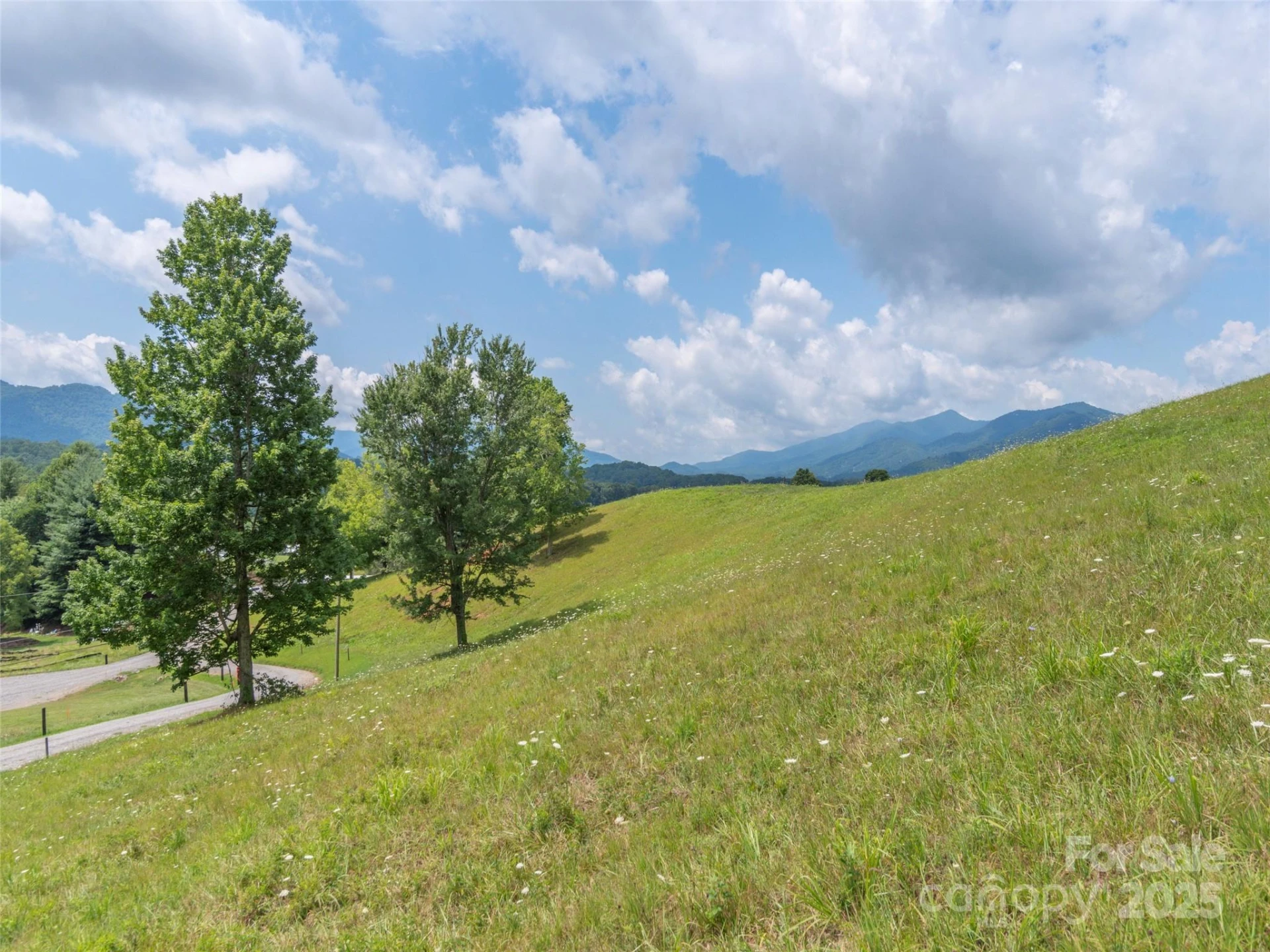 00 Bark Trail - Photo 24