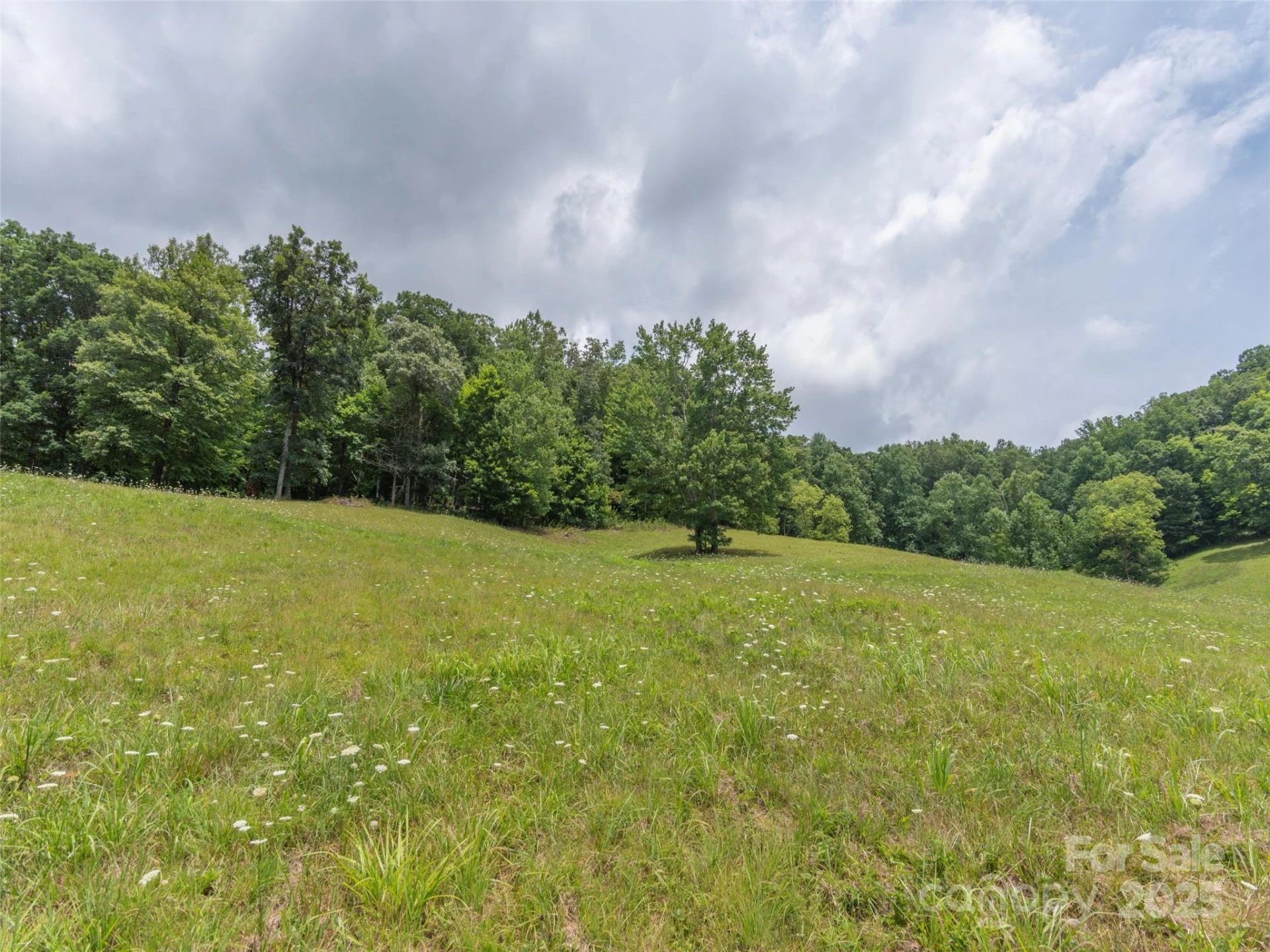 00 Bark Trail - Photo 27
