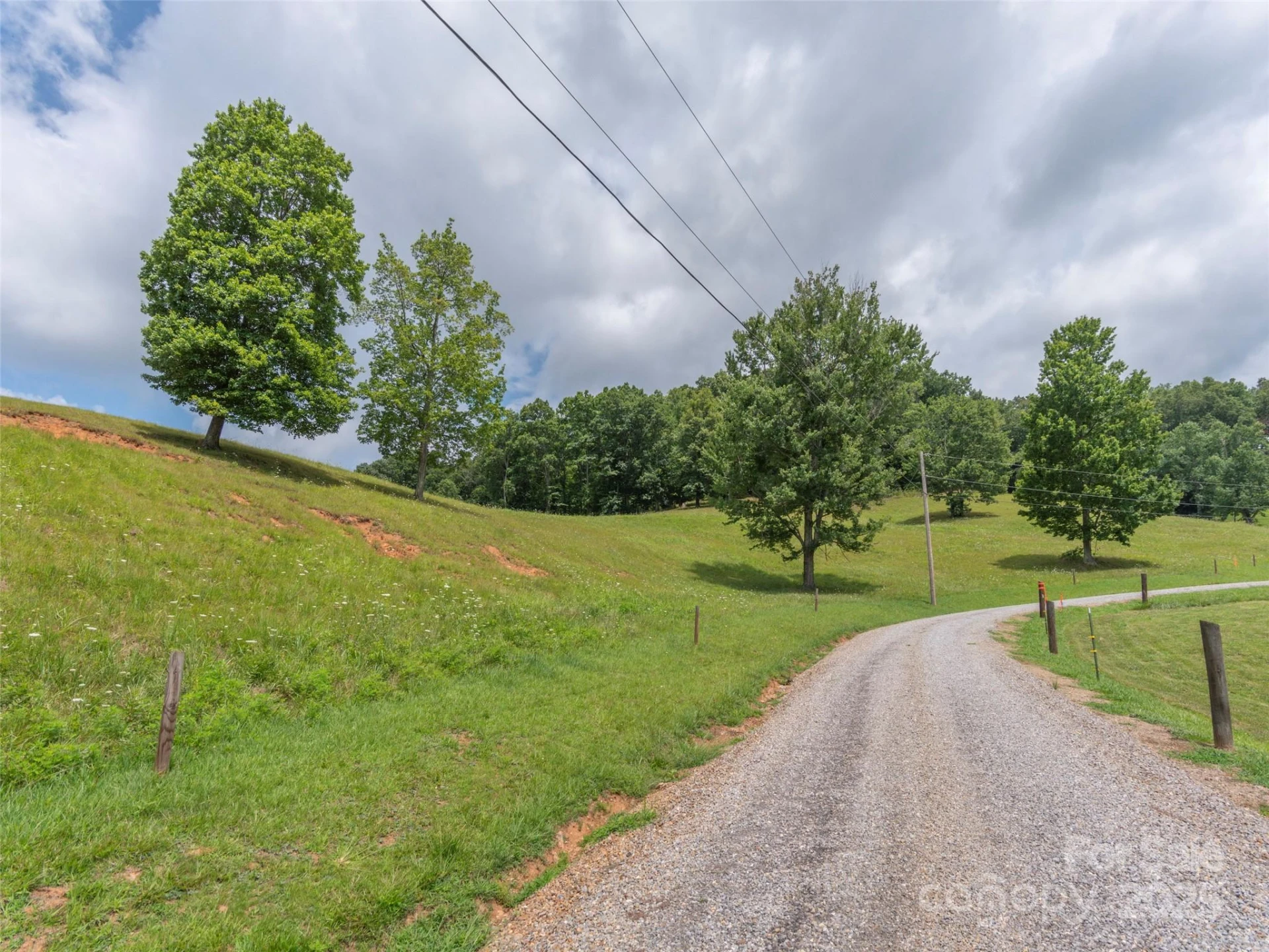 00 Bark Trail - Photo 31