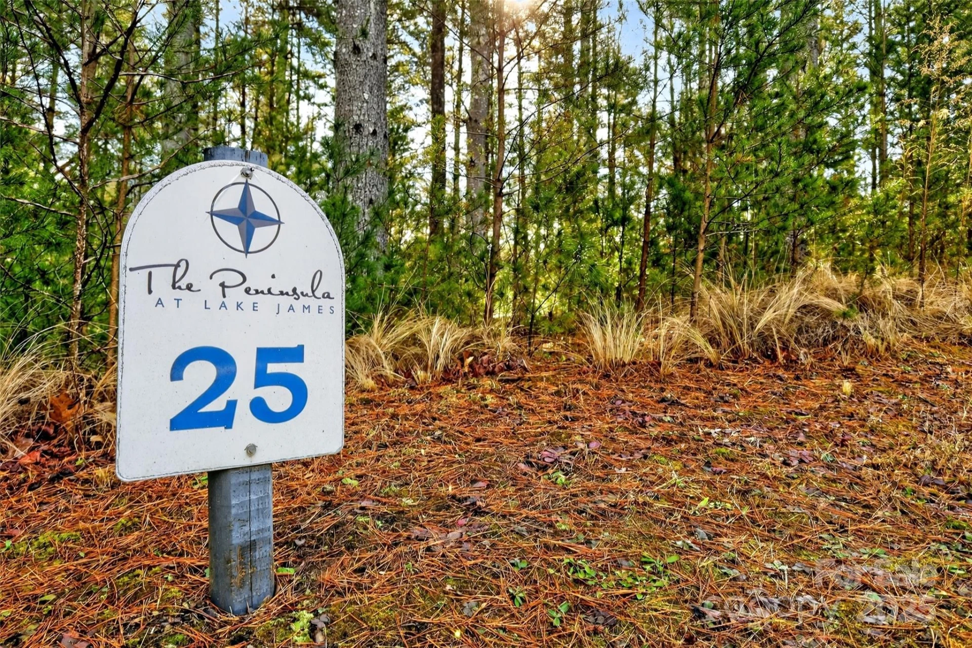 365 Peninsula Reserve Road #25 - Photo 5