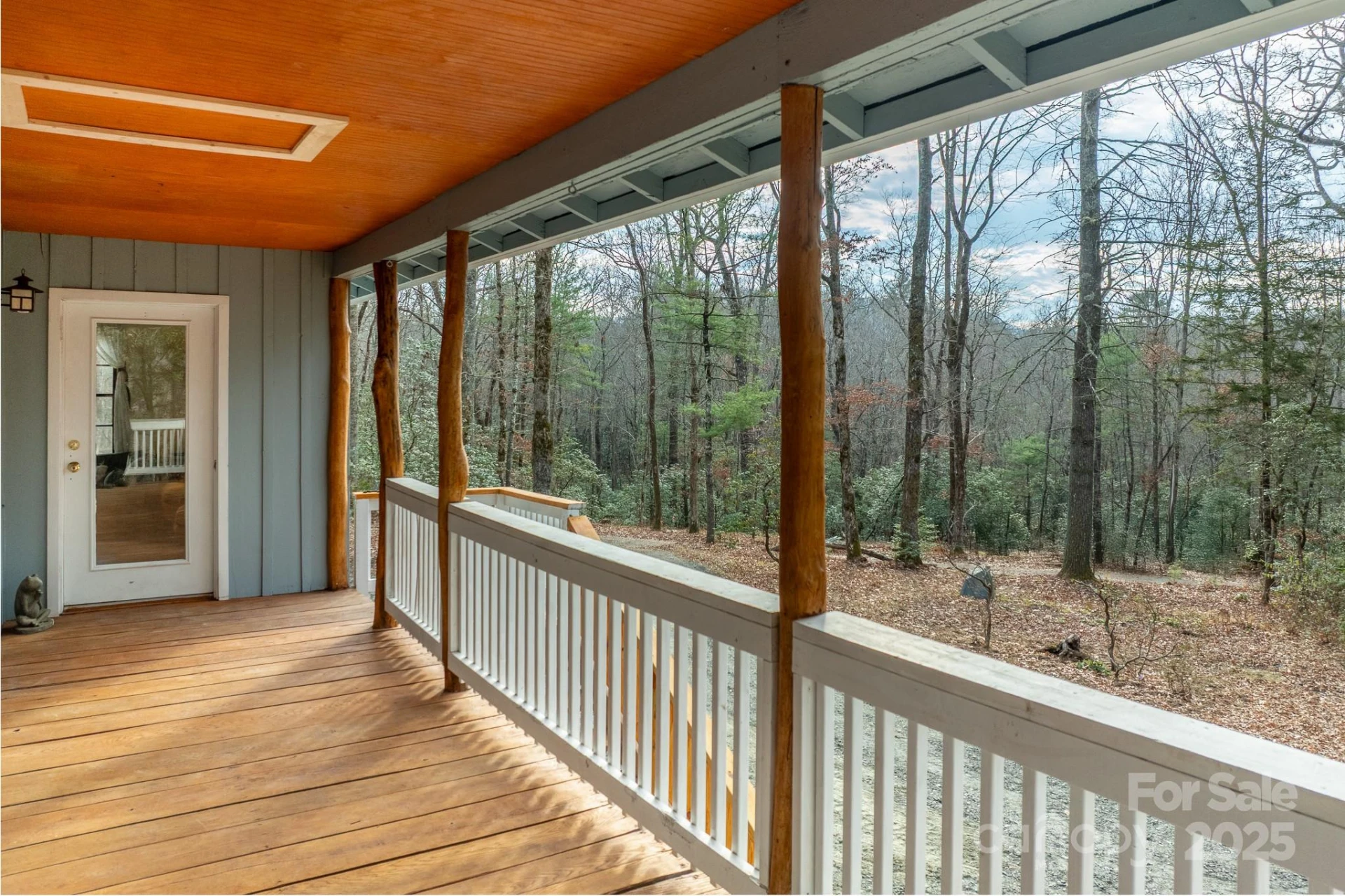 361 Rainbow Lake Drive - Photo 4