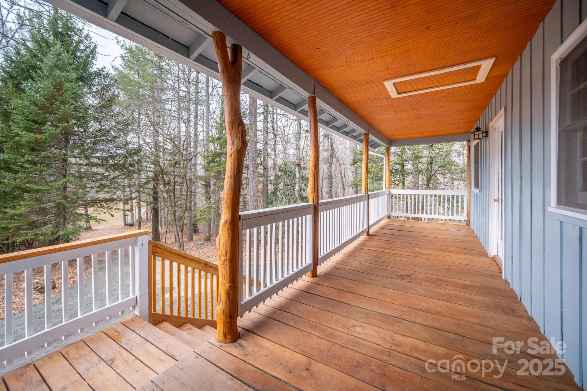 361 Rainbow Lake Drive - Photo 5