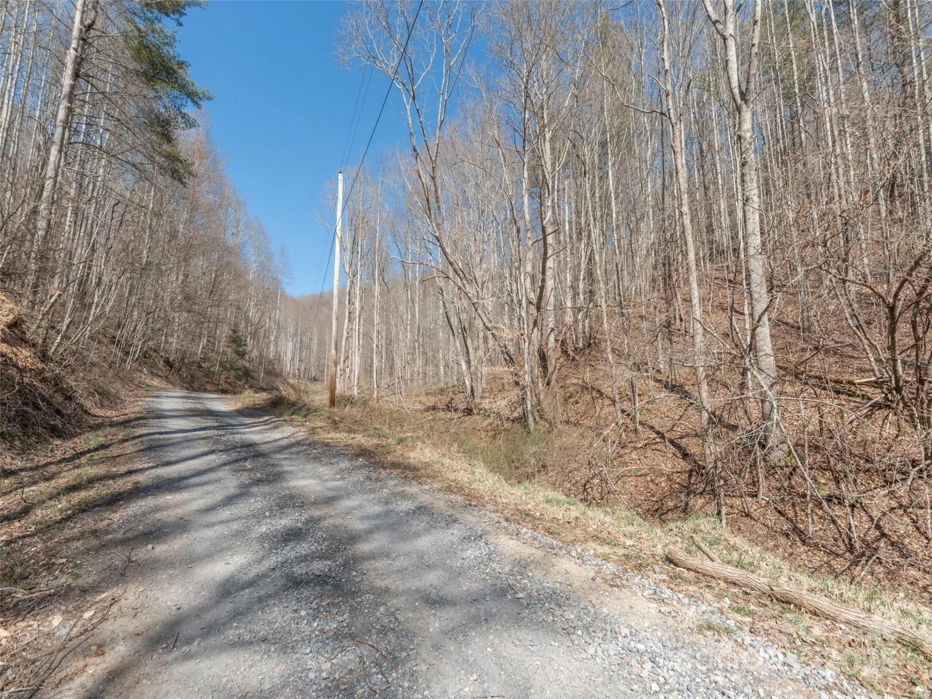 99999 Gibson Branch Road - Photo 11