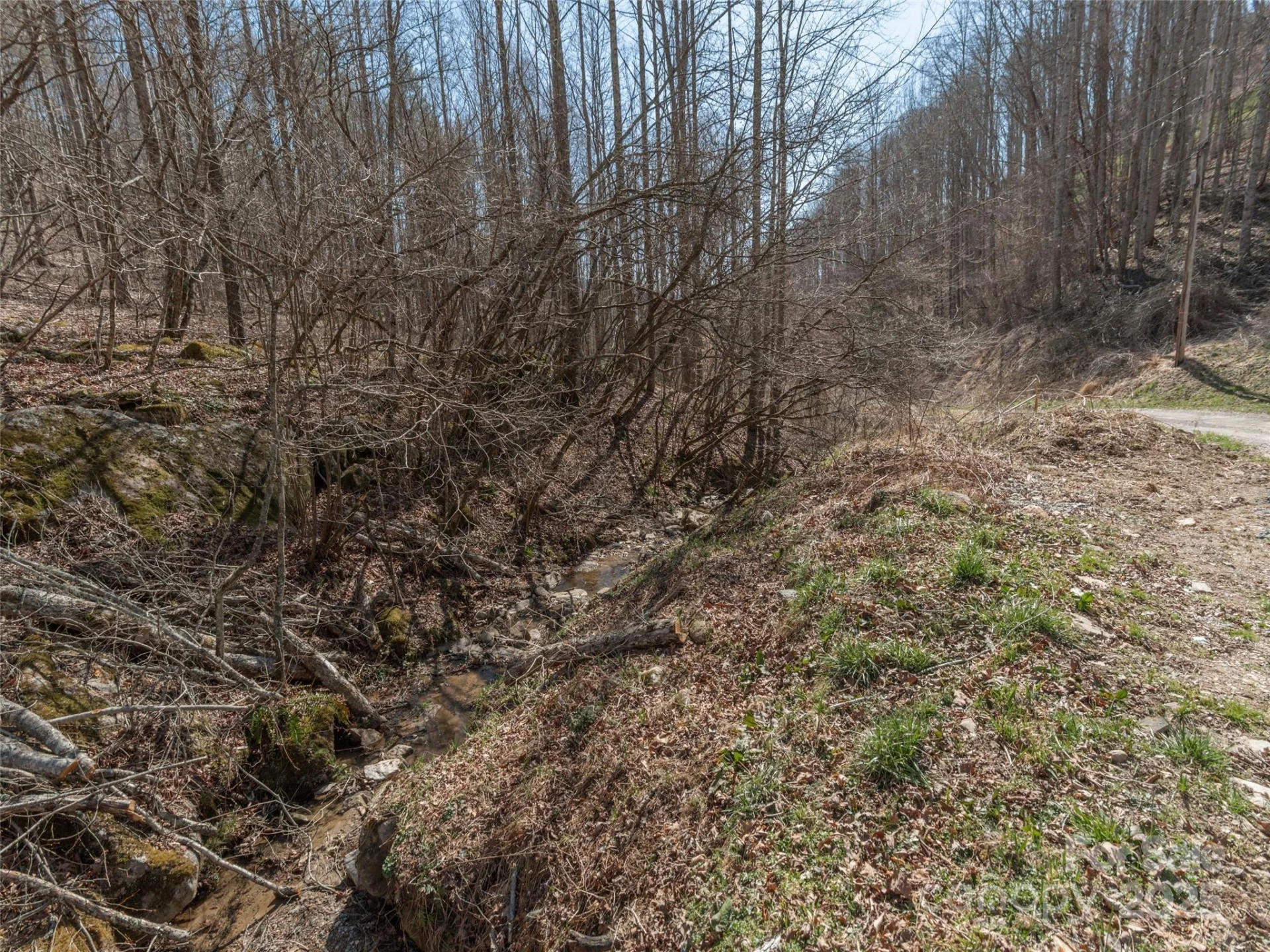 99999 Gibson Branch Road - Photo 3