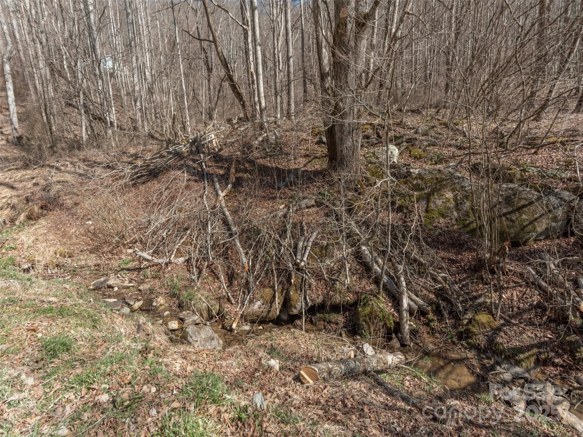 99999 Gibson Branch Road - Photo 4