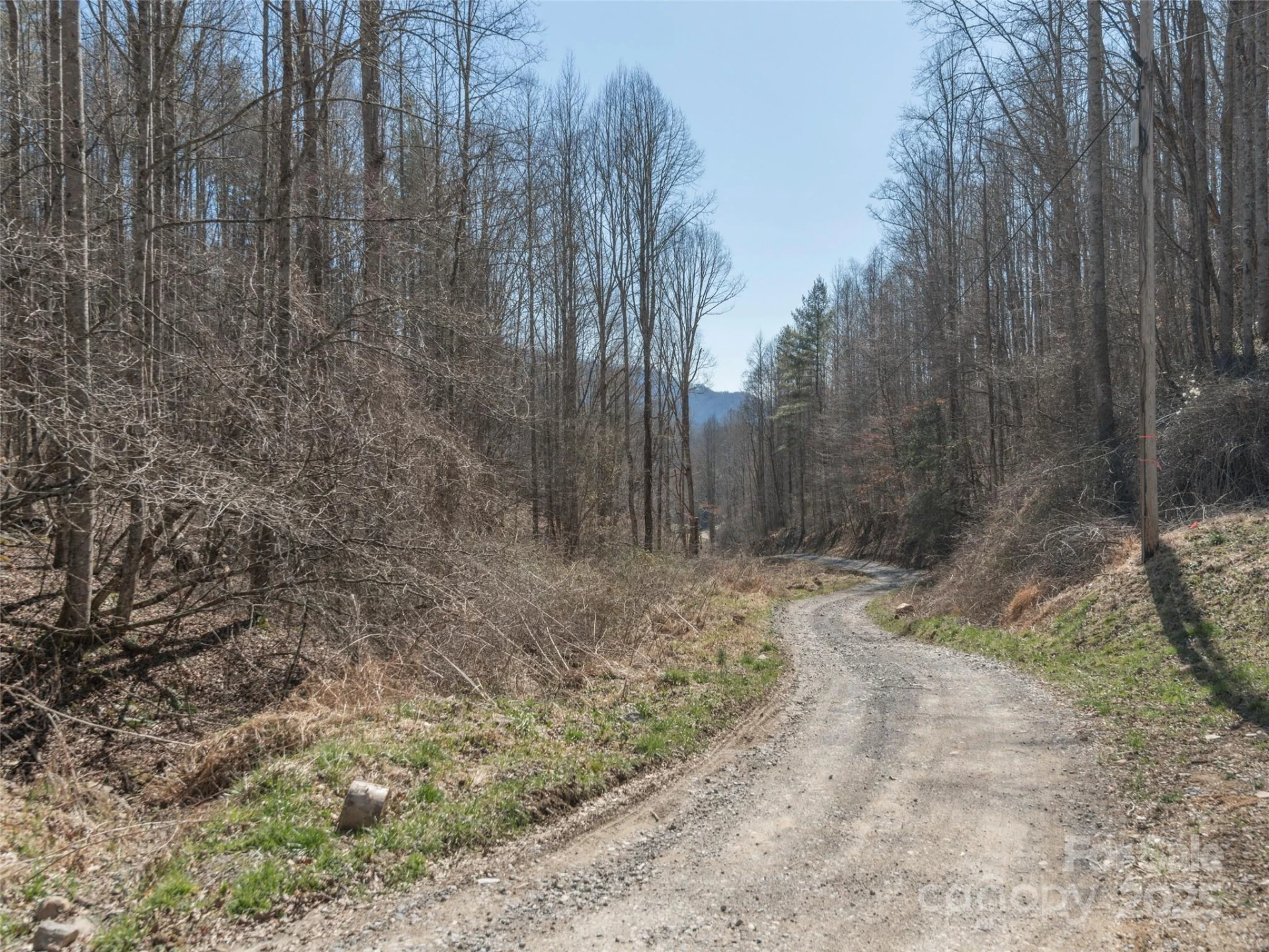 99999 Gibson Branch Road - Photo 6