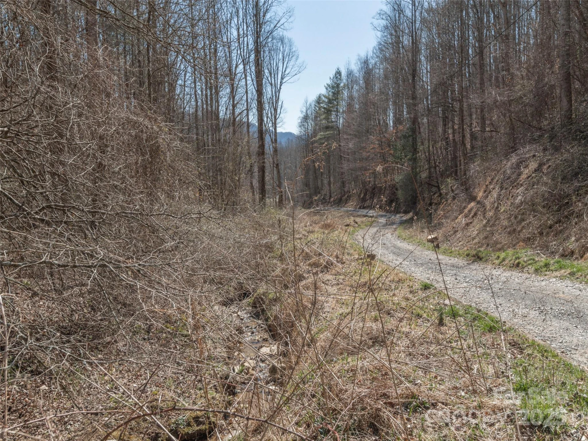 99999 Gibson Branch Road - Photo 7