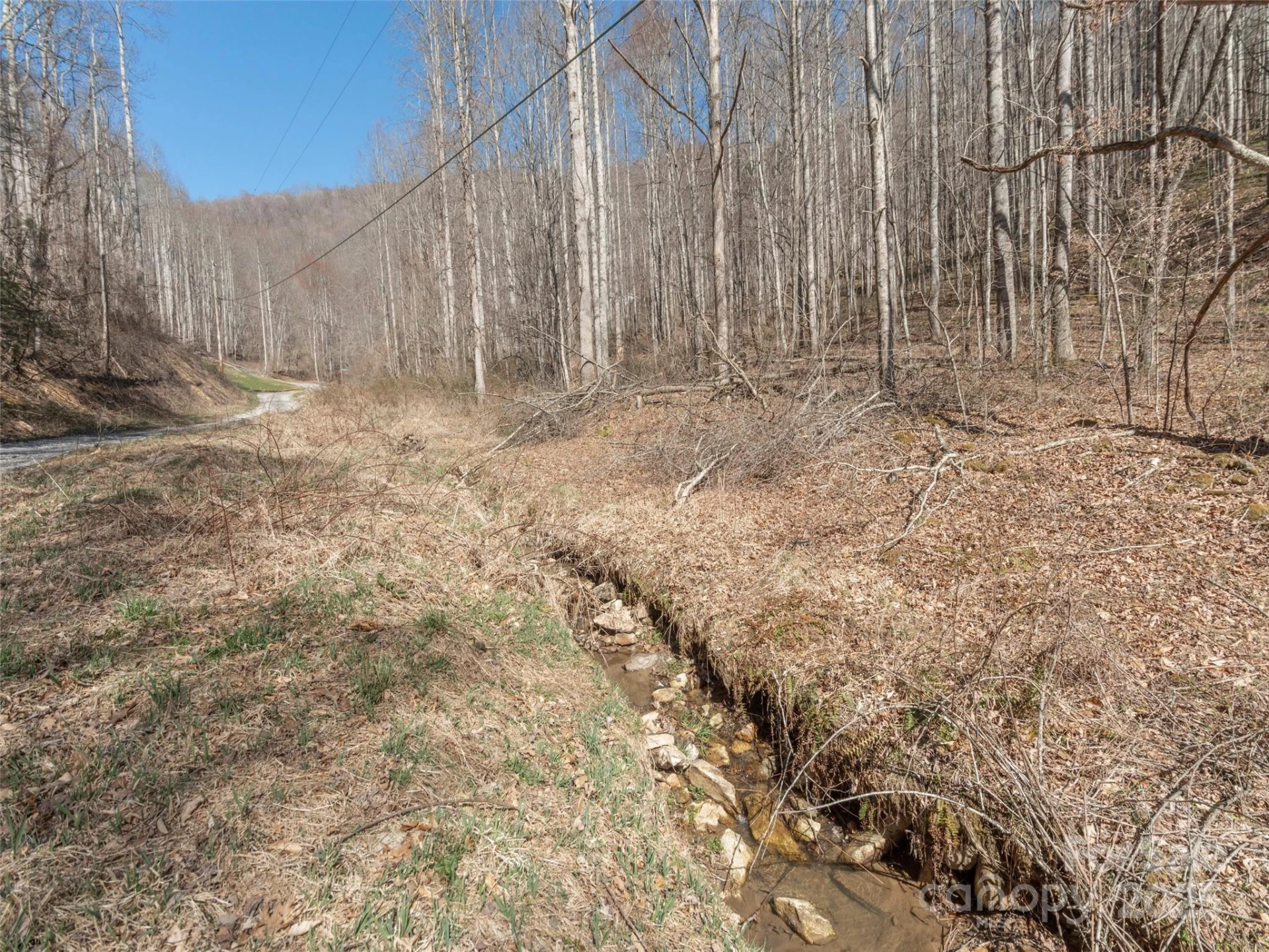 99999 Gibson Branch Road - Photo 8
