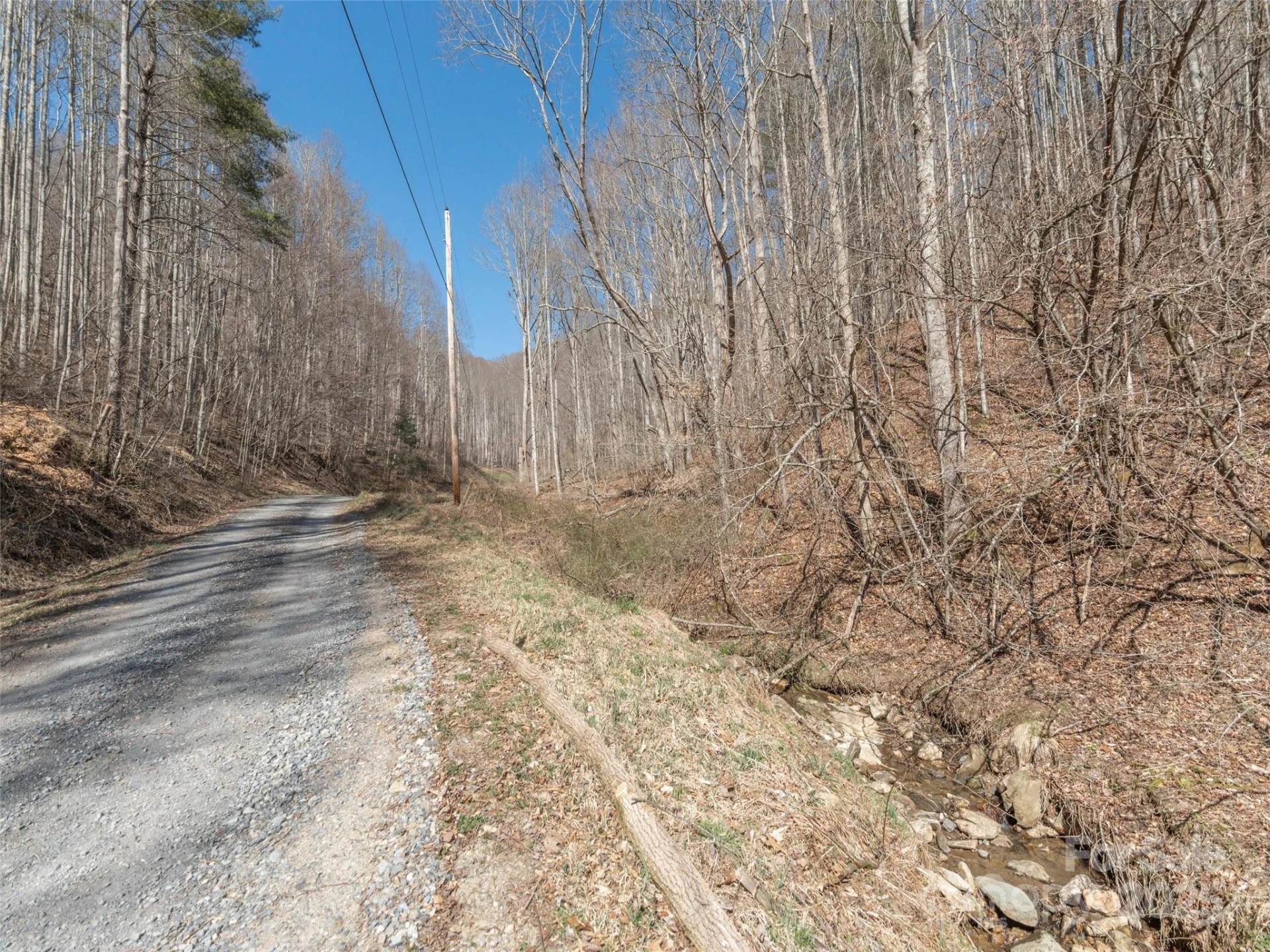 99999 Gibson Branch Road - Photo 10