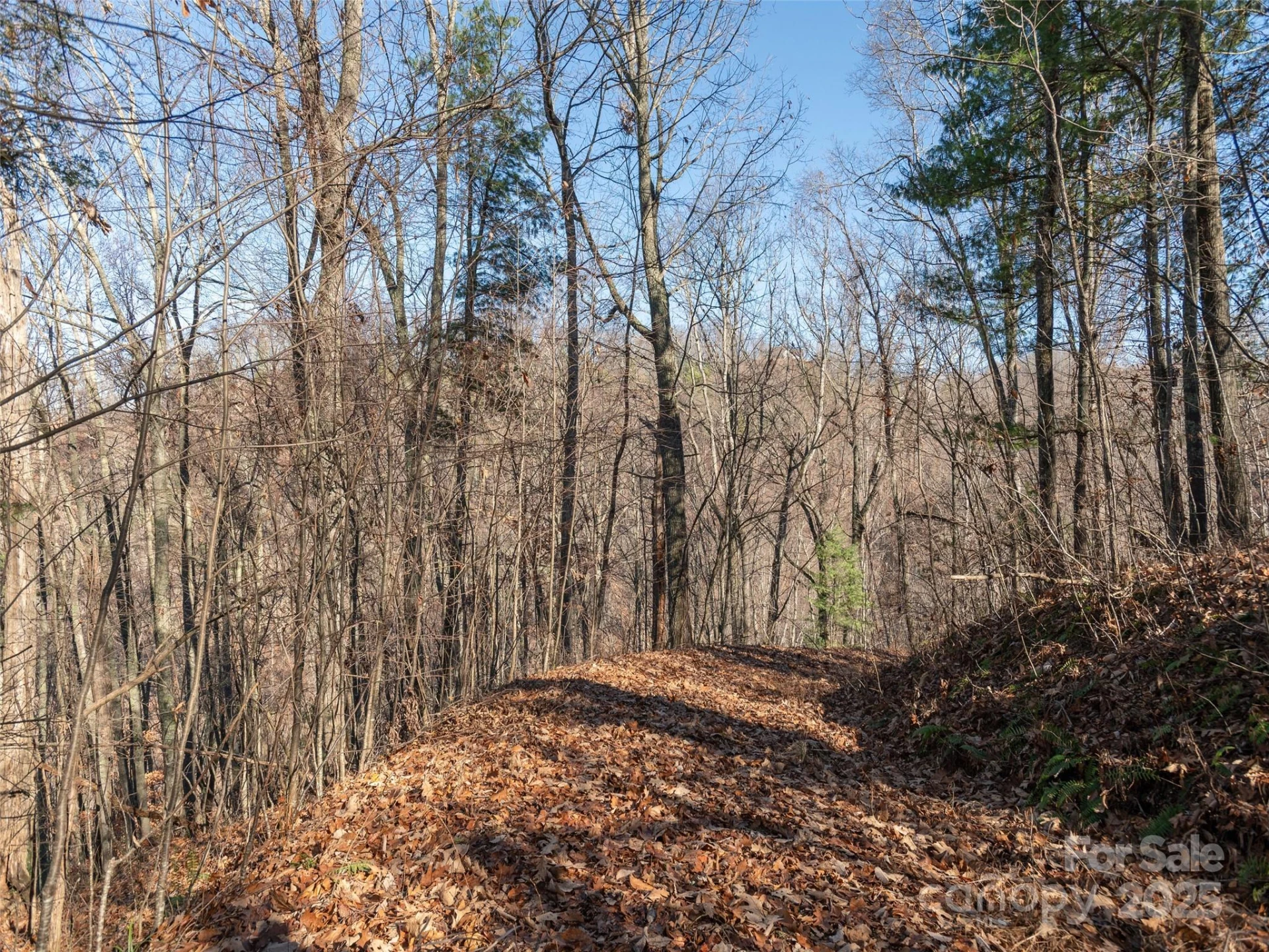 1182 Seven Glens Drive - Photo 9