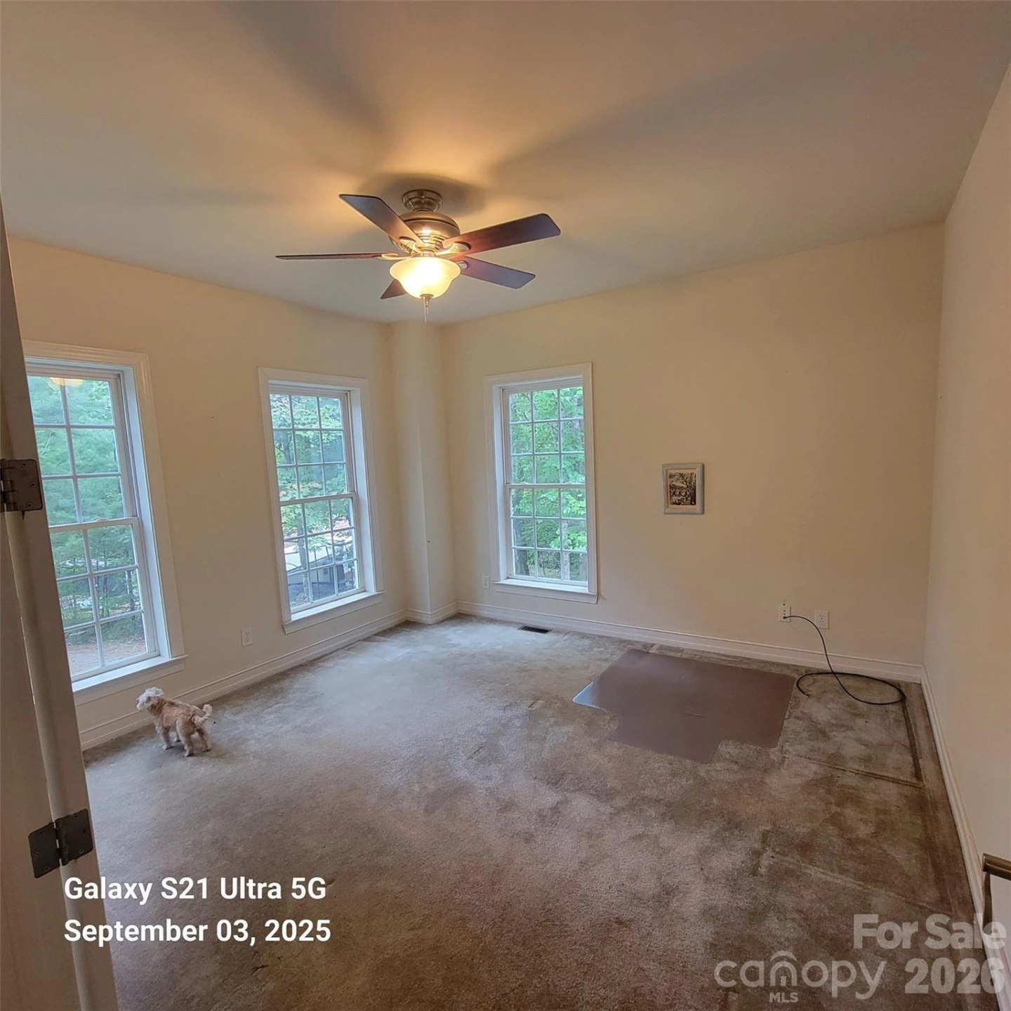 31 Reeds Creek Road - Photo 22