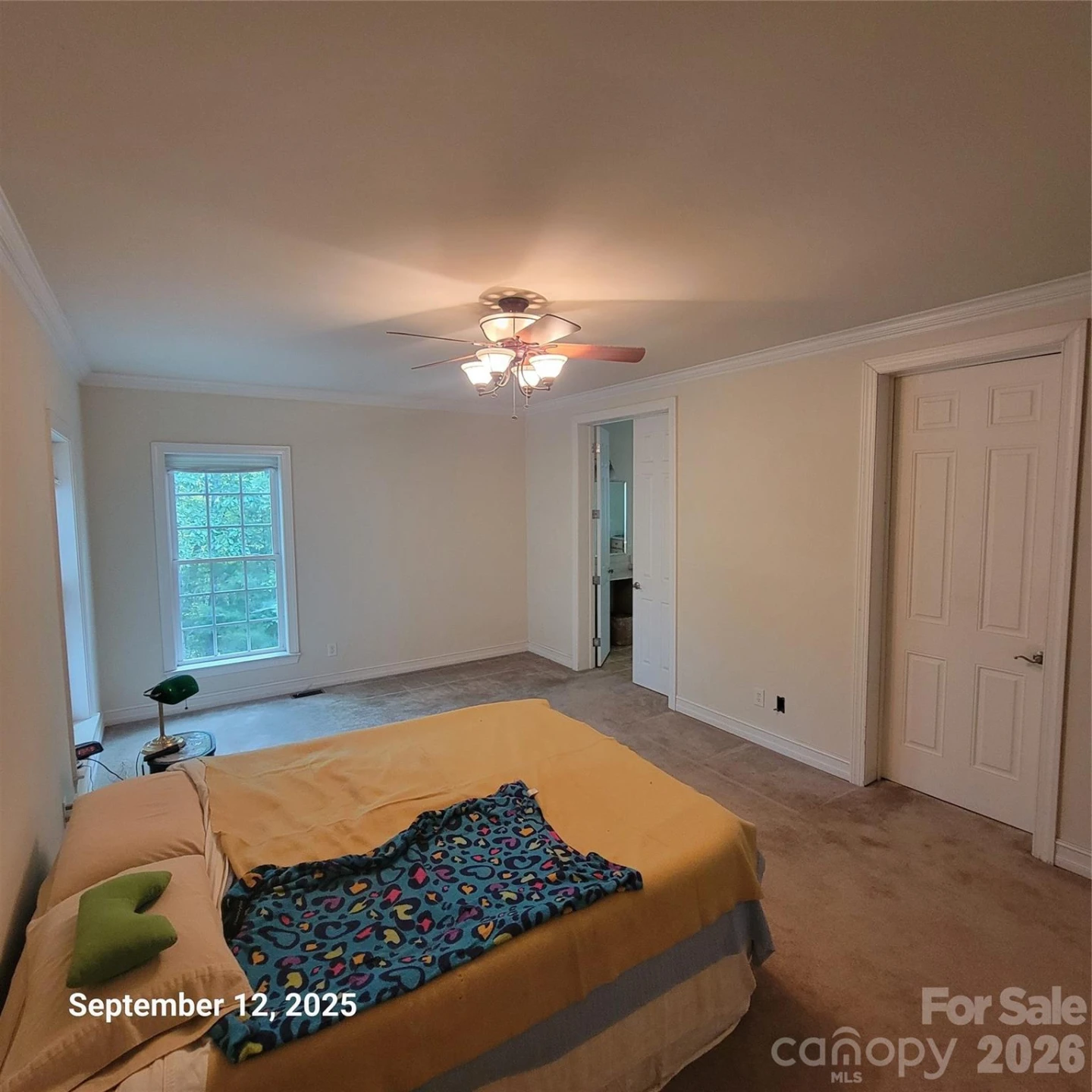 31 Reeds Creek Road - Photo 27