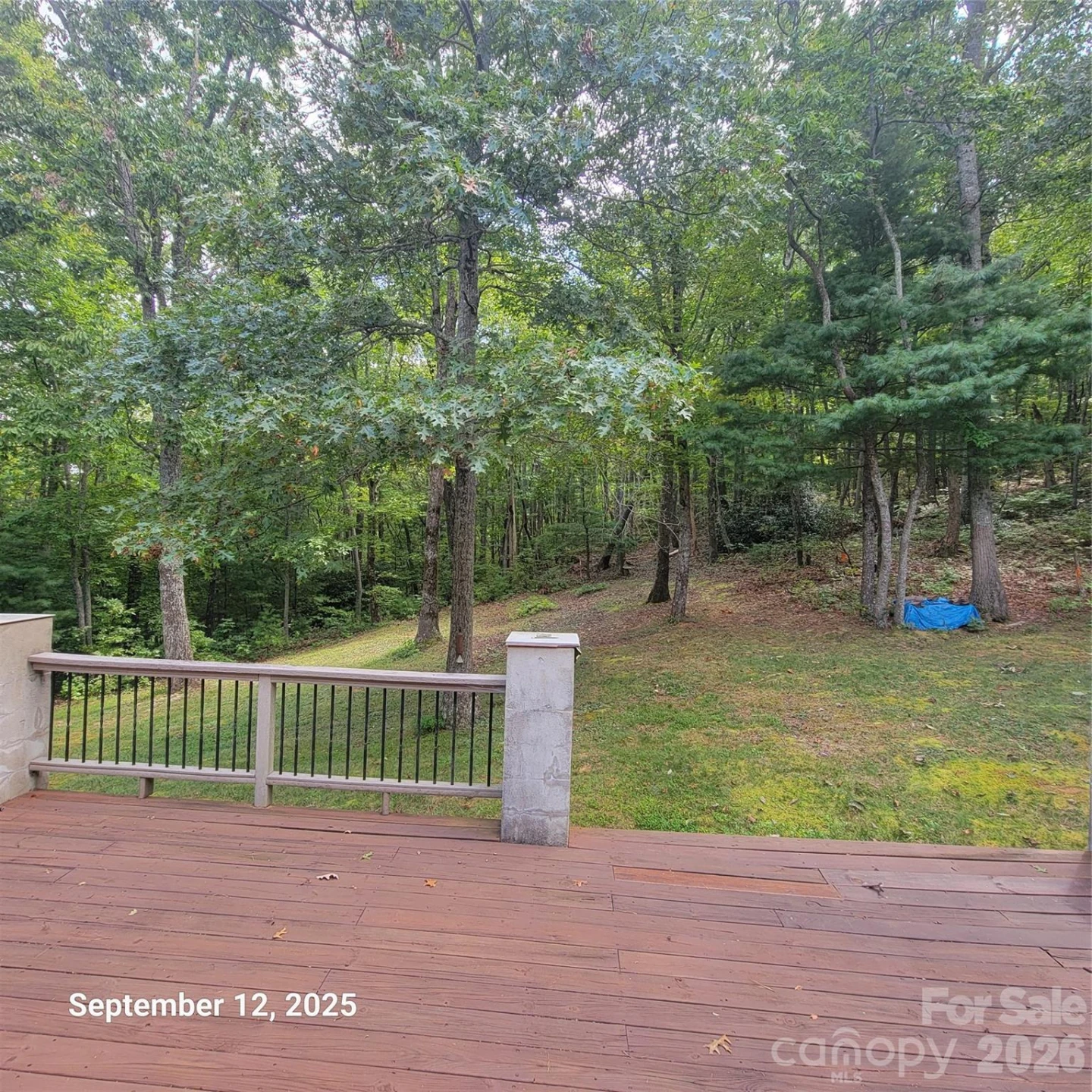 31 Reeds Creek Road - Photo 8