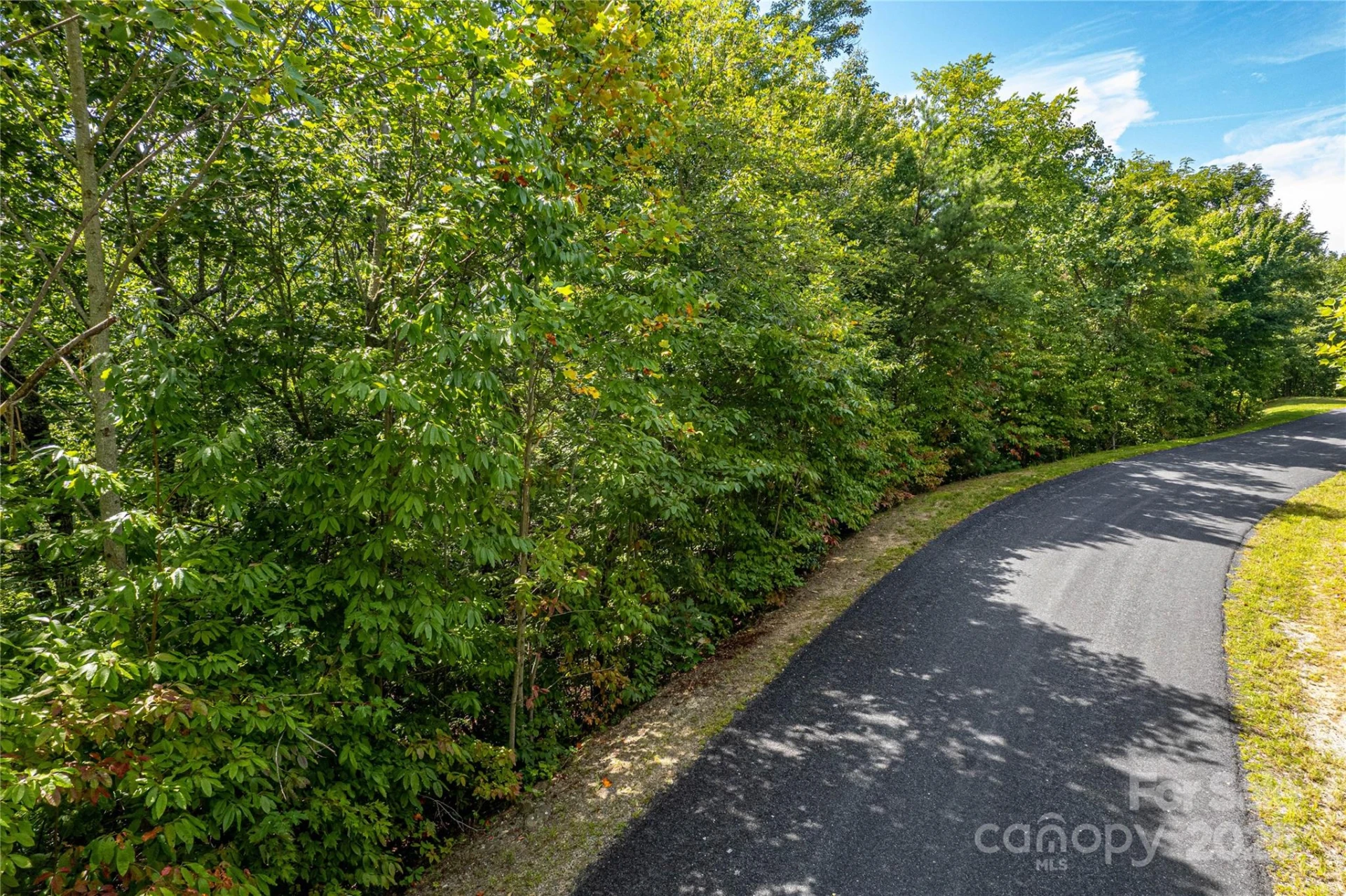 579 Bluemist Way - Photo 12