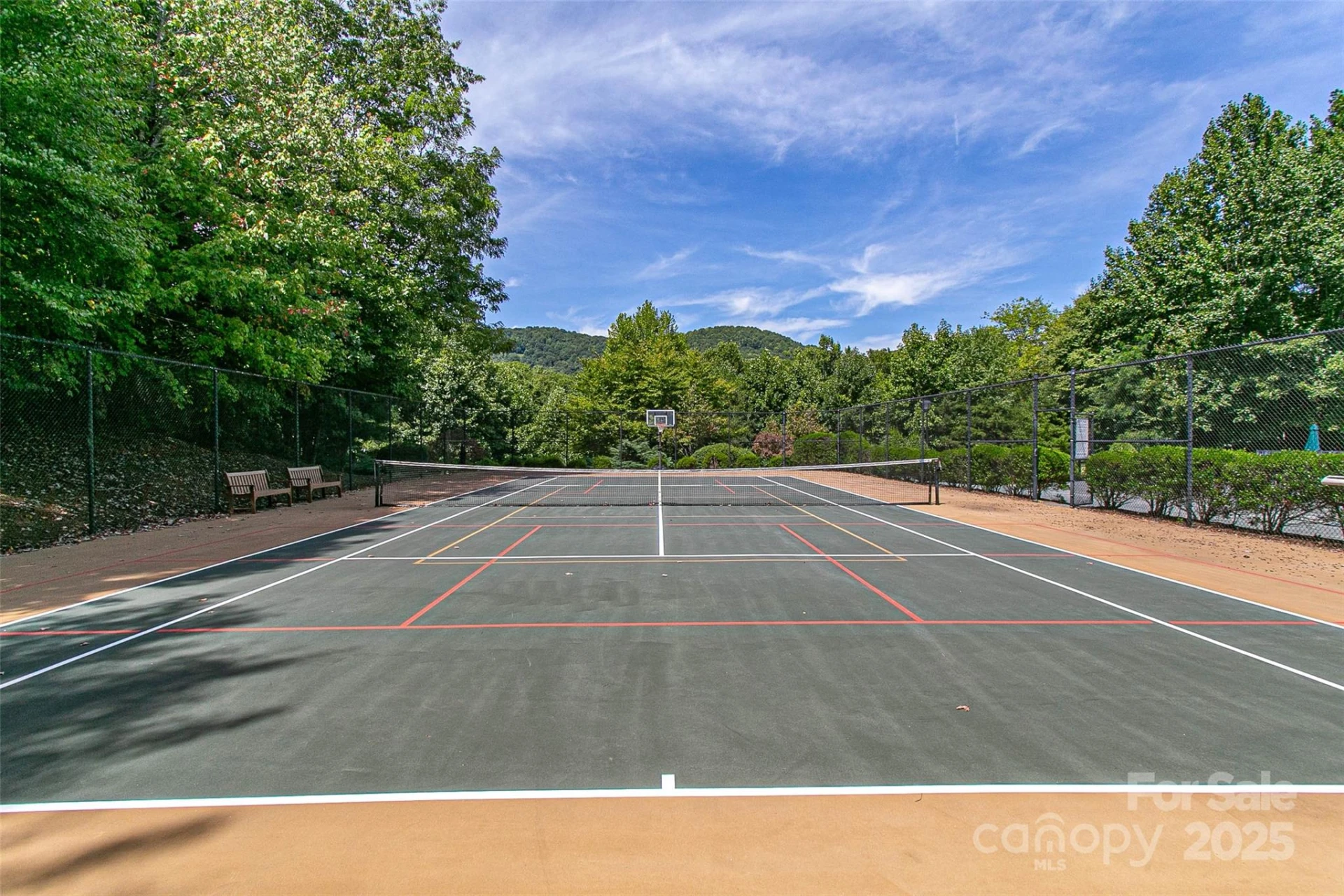 579 Bluemist Way - Photo 15